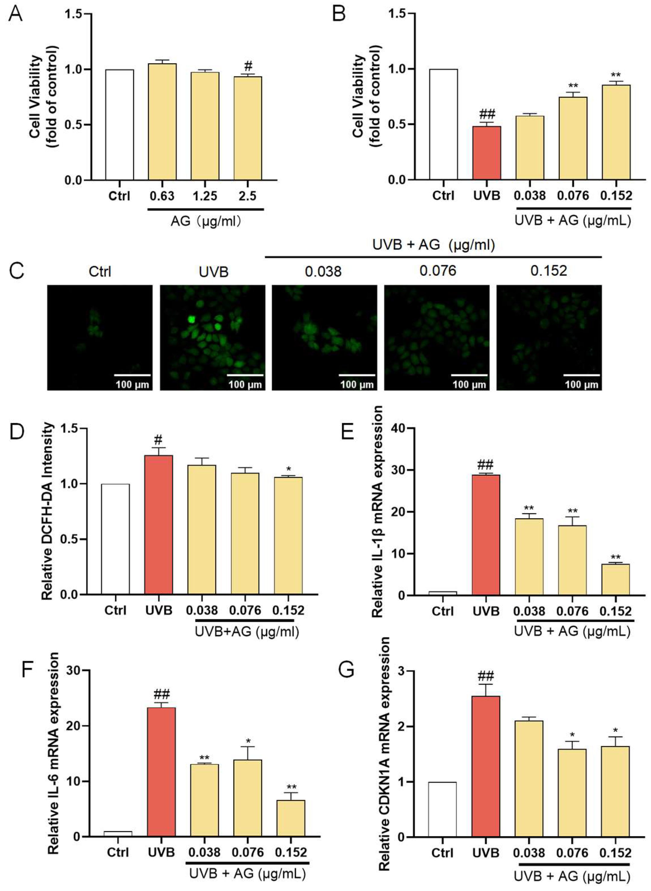 Antioxidants 14 00118 g005