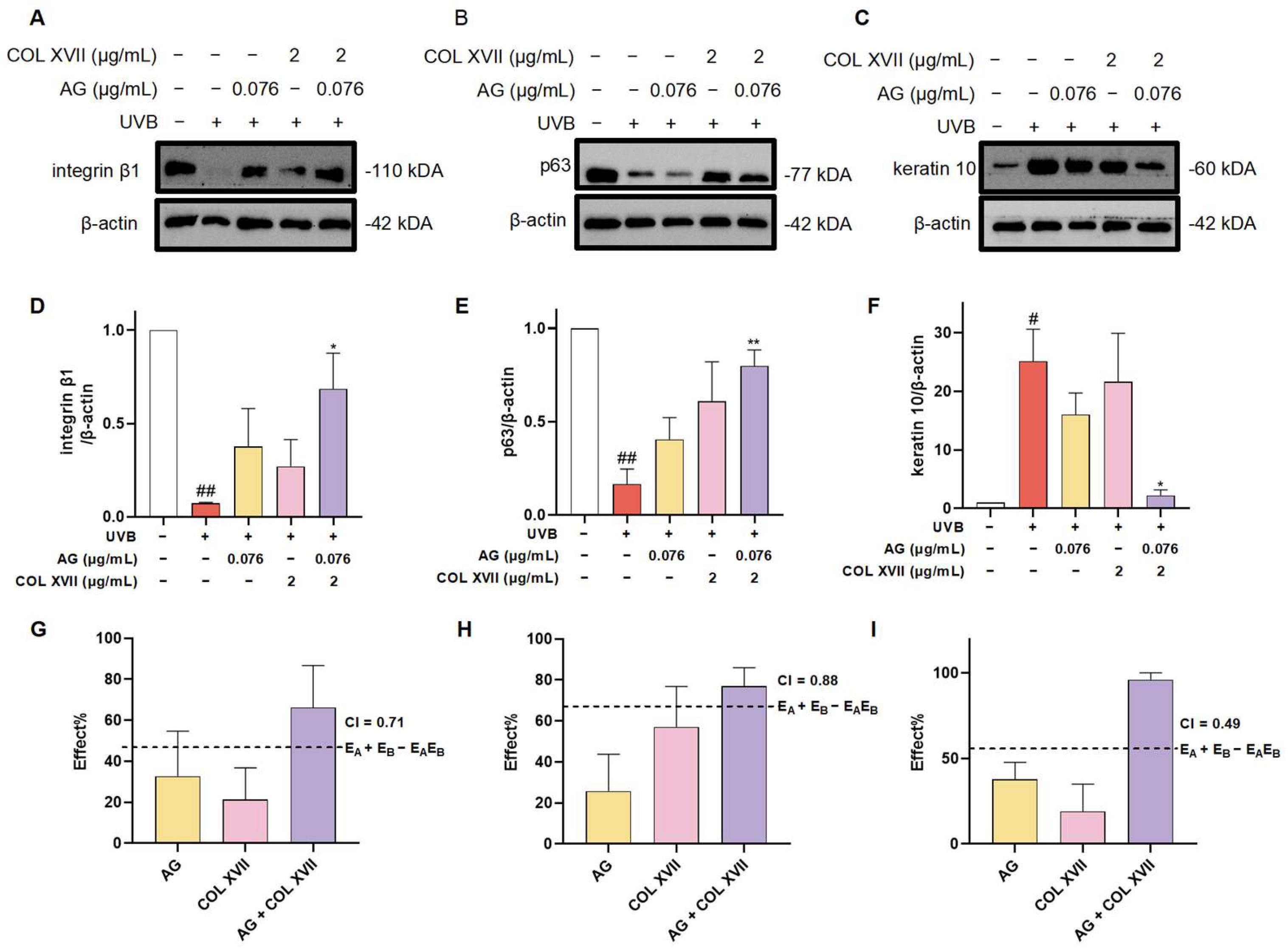 Antioxidants 14 00118 g008