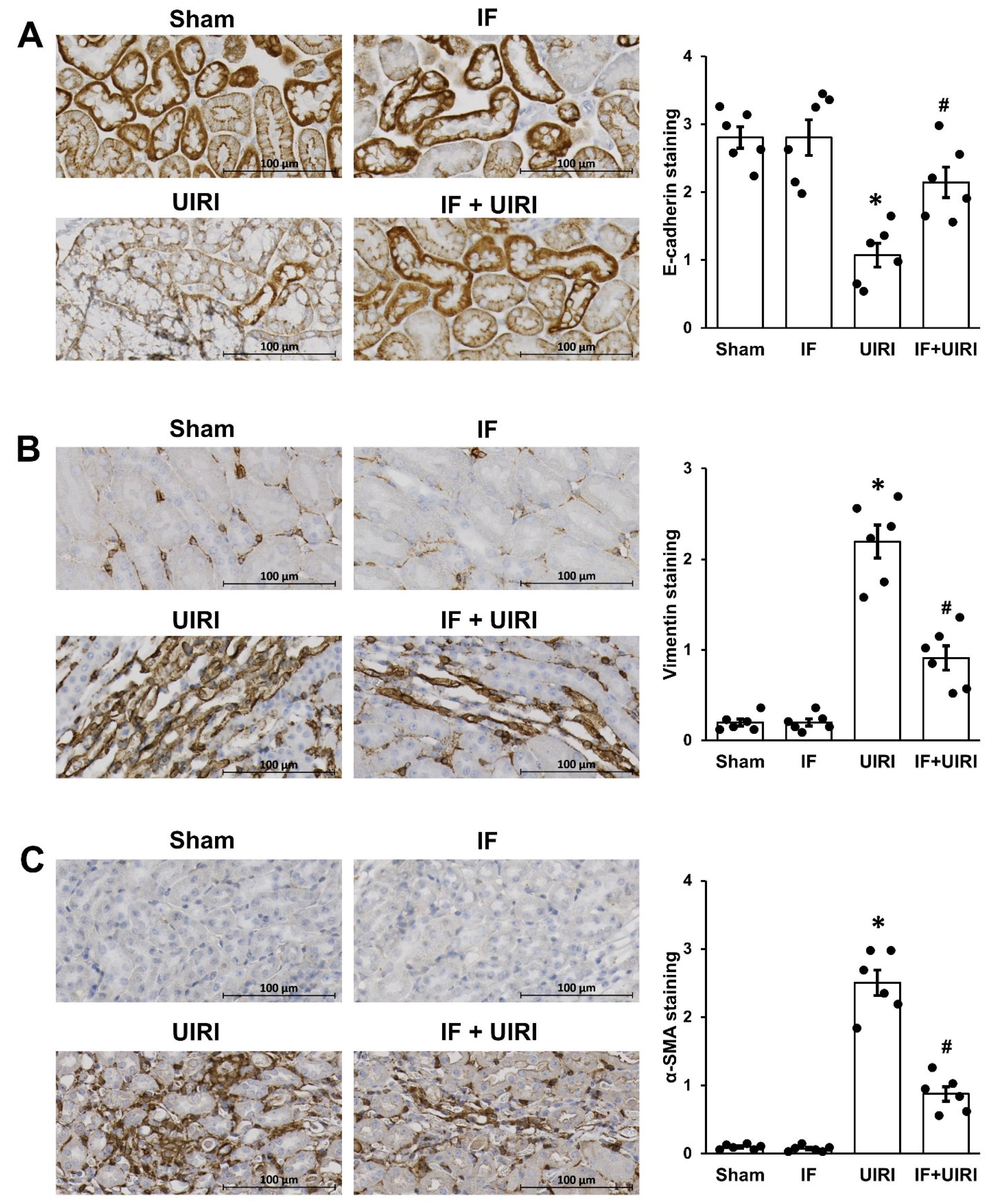 Antioxidants 14 00119 g003