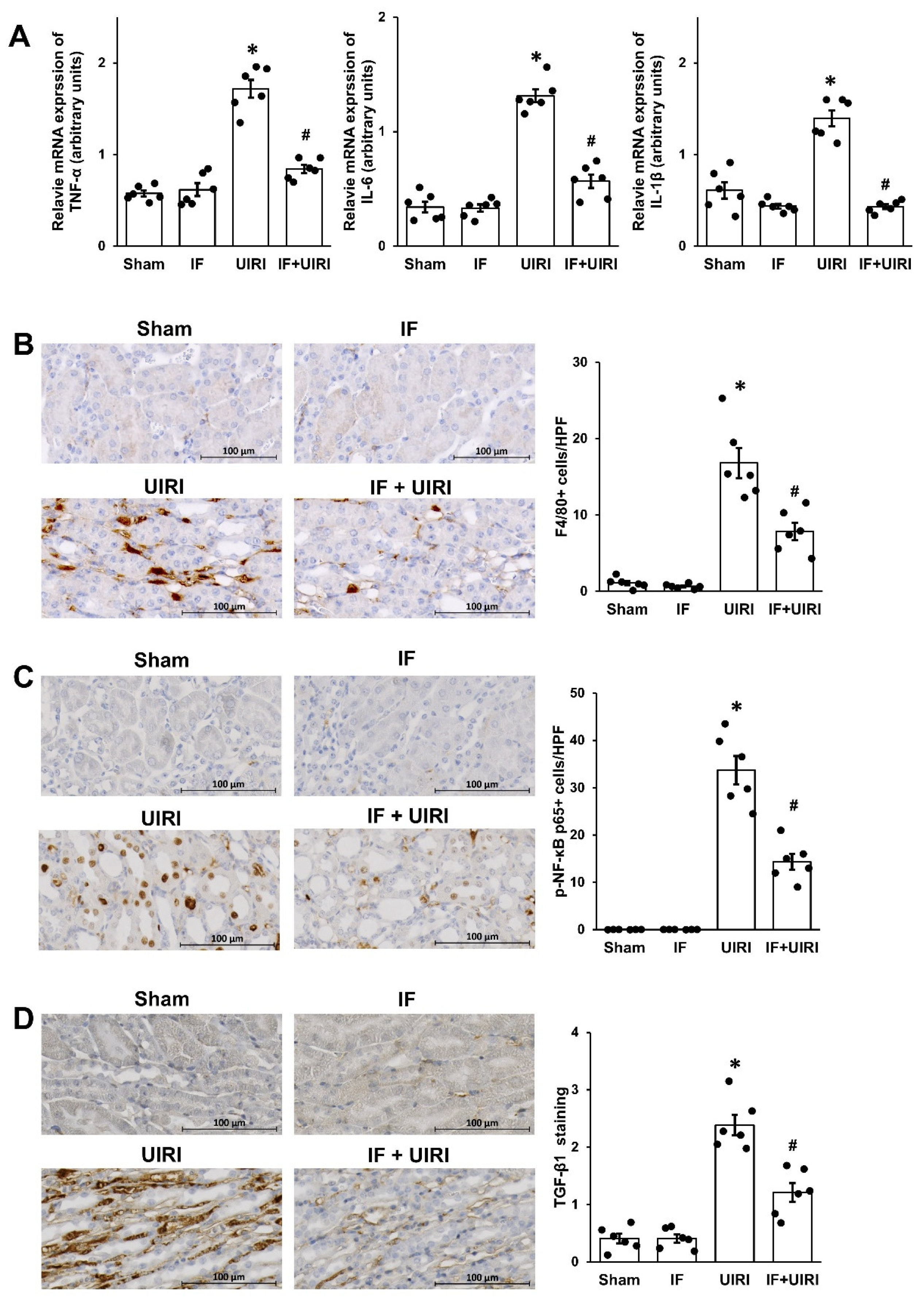 Antioxidants 14 00119 g004