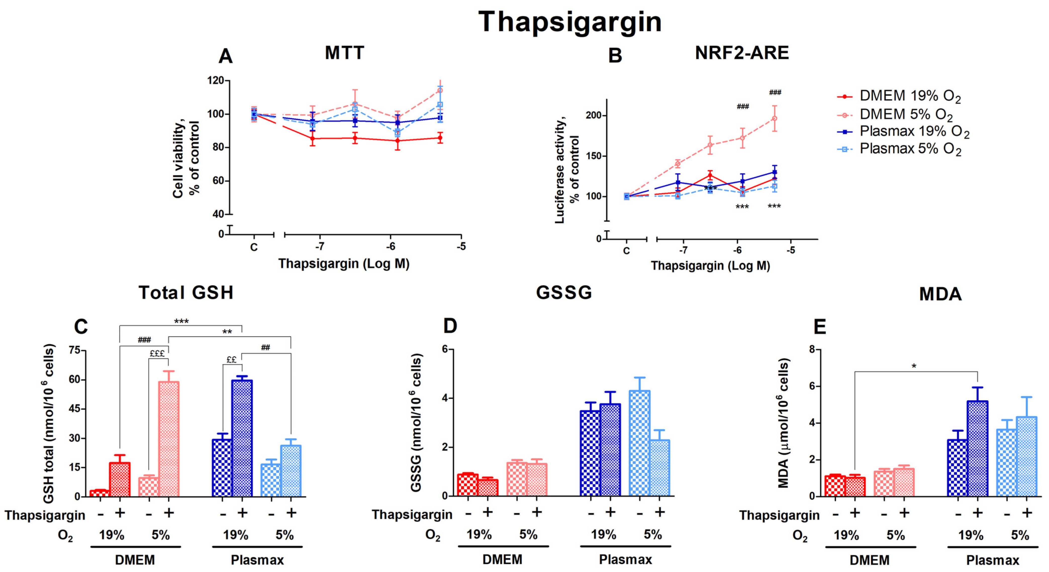 Antioxidants 14 00137 g005