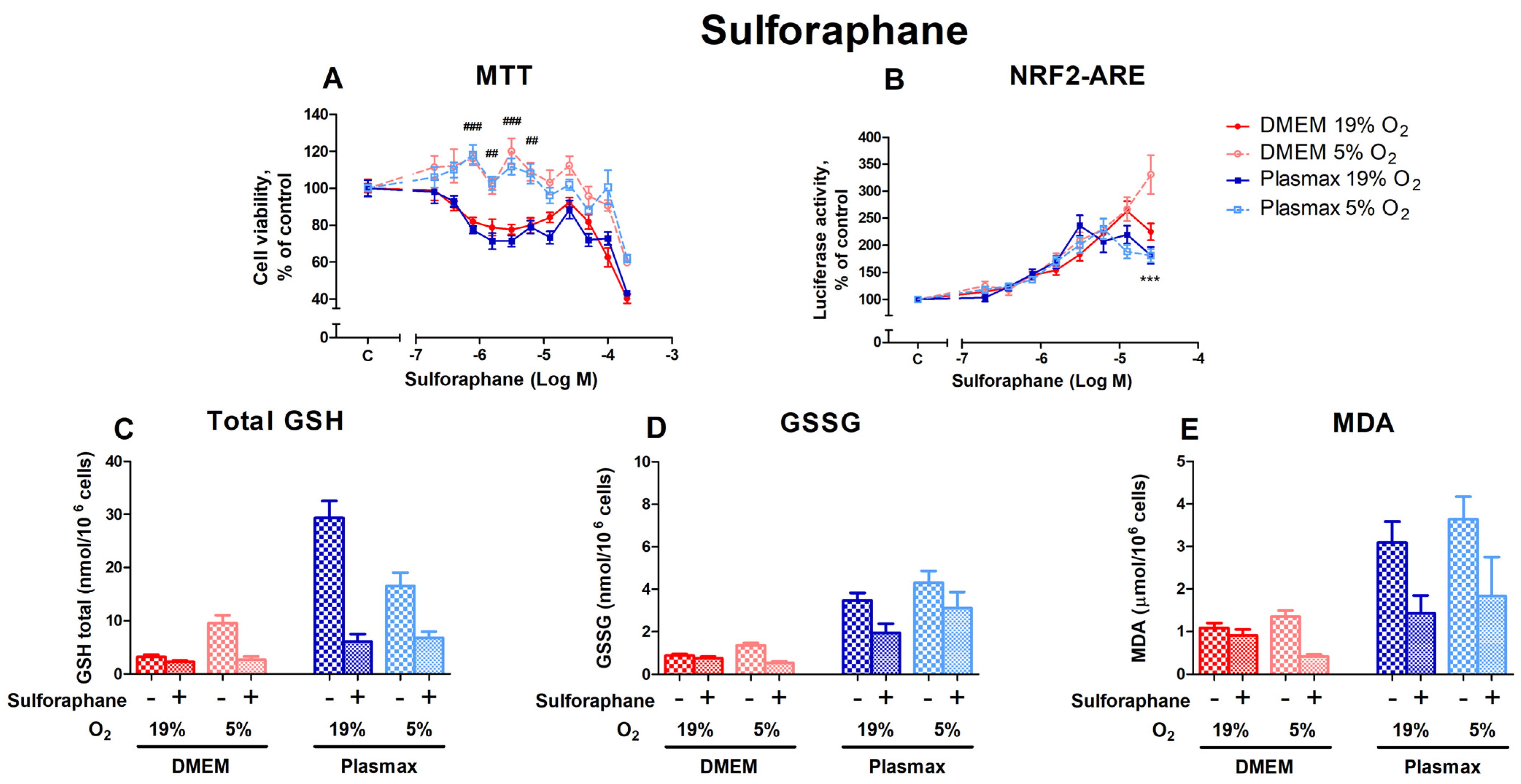 Antioxidants 14 00137 g007