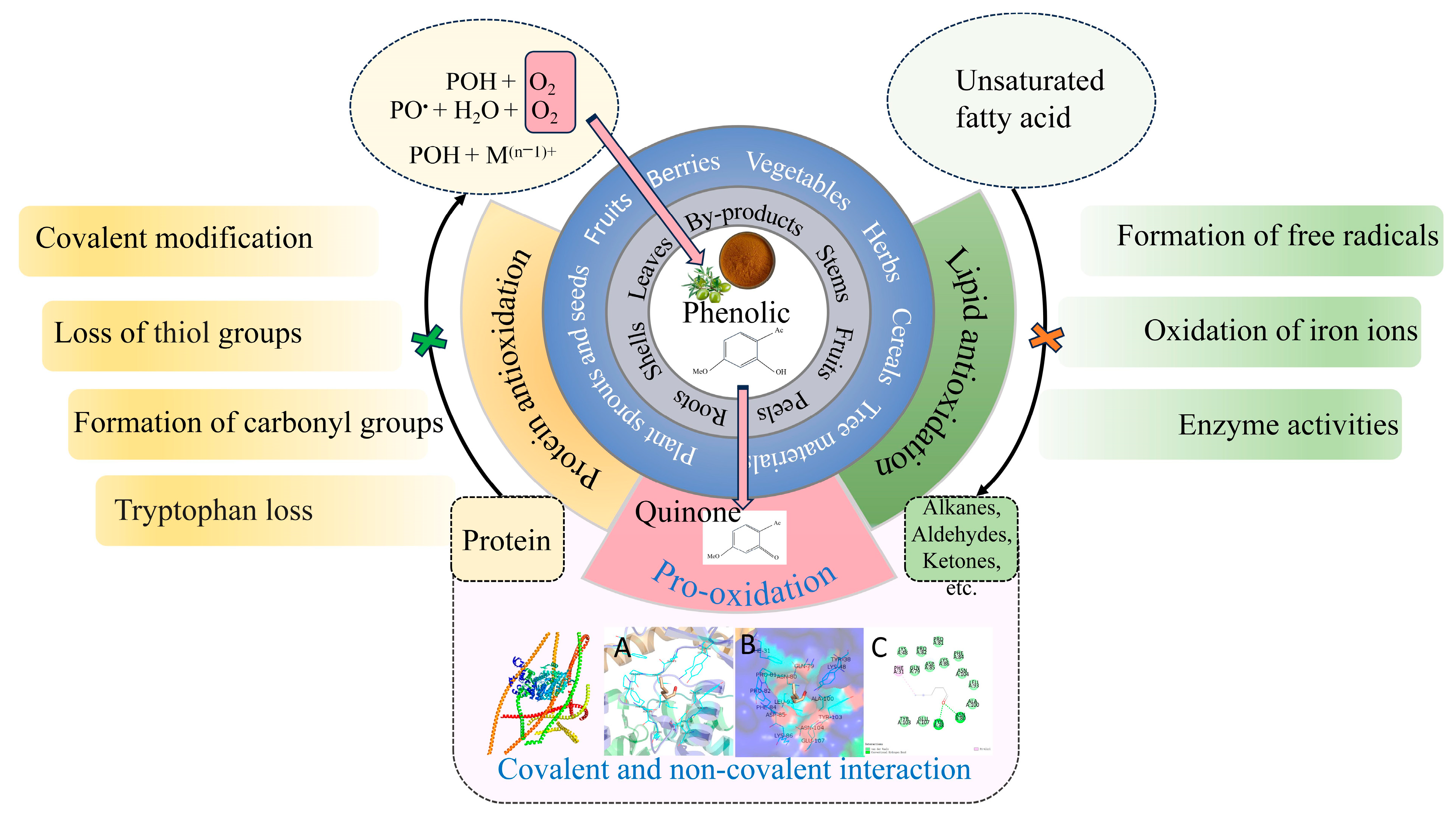Antioxidants 14 00138 g002