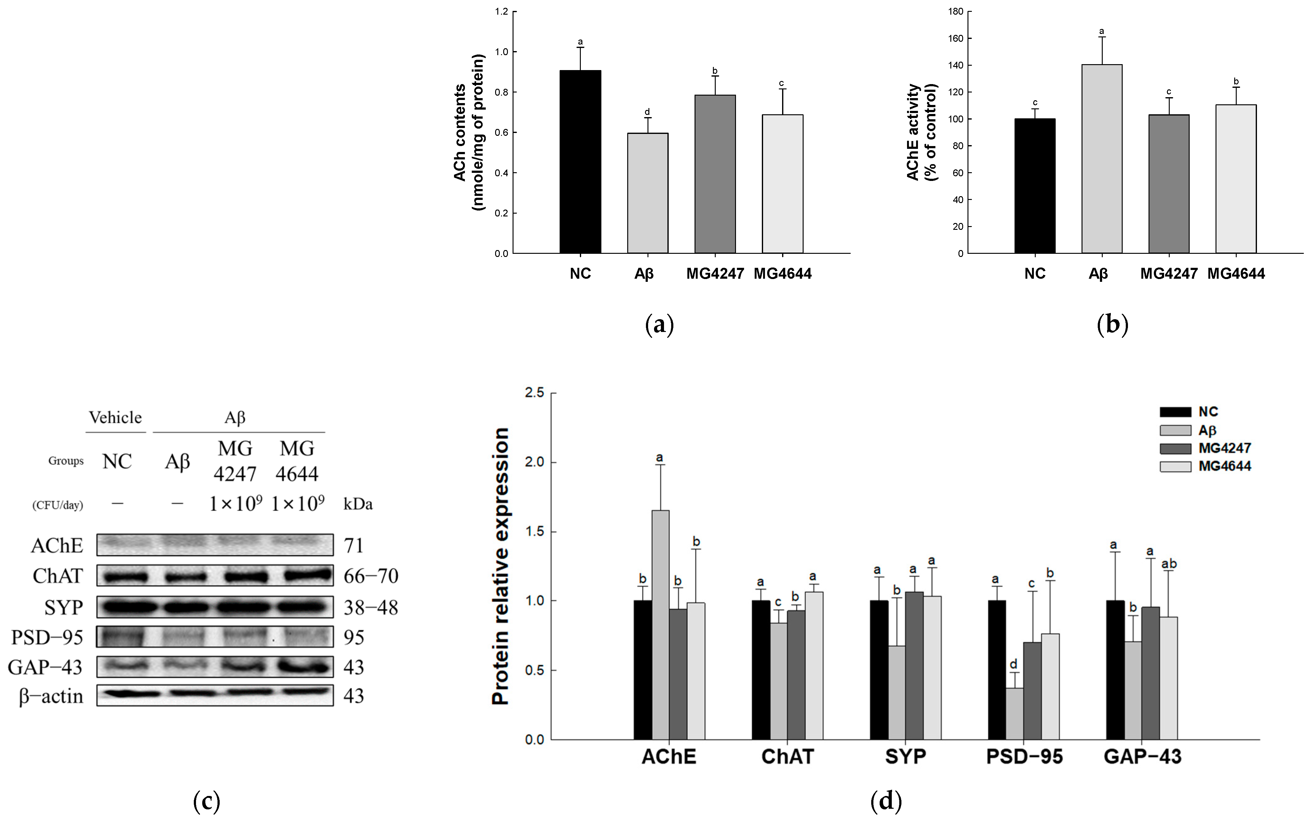 Antioxidants 14 00139 g004
