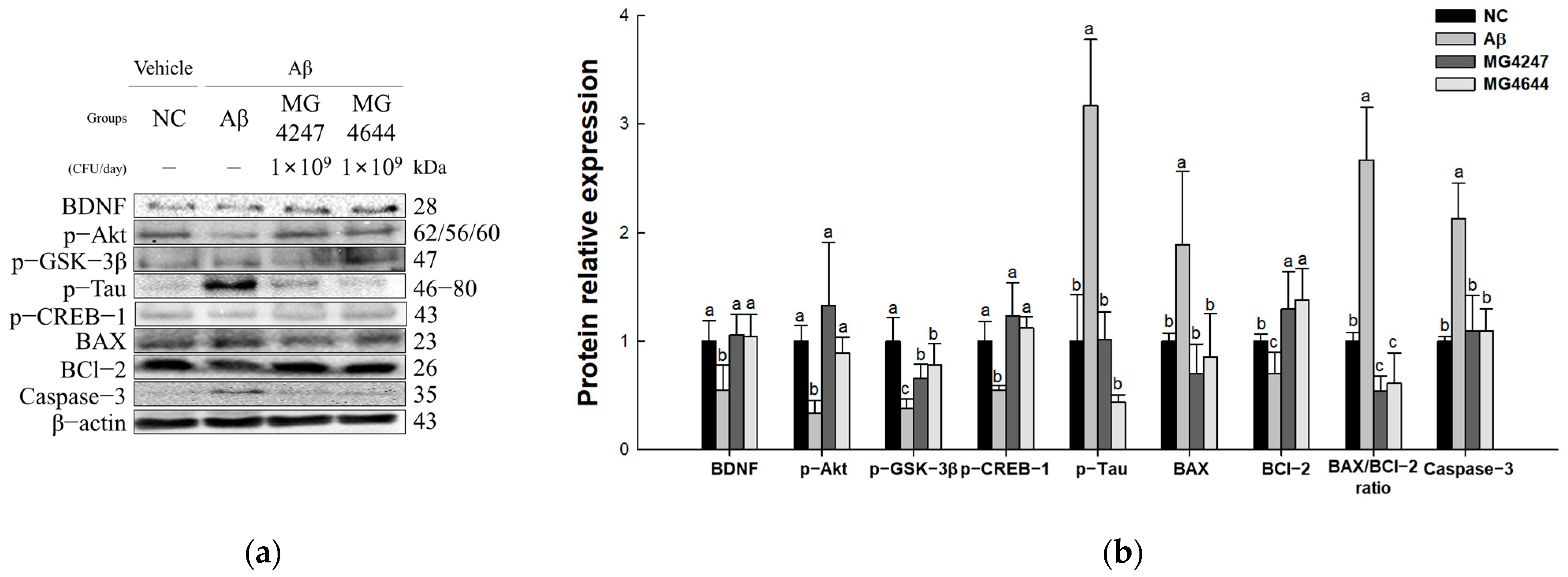Antioxidants 14 00139 g007