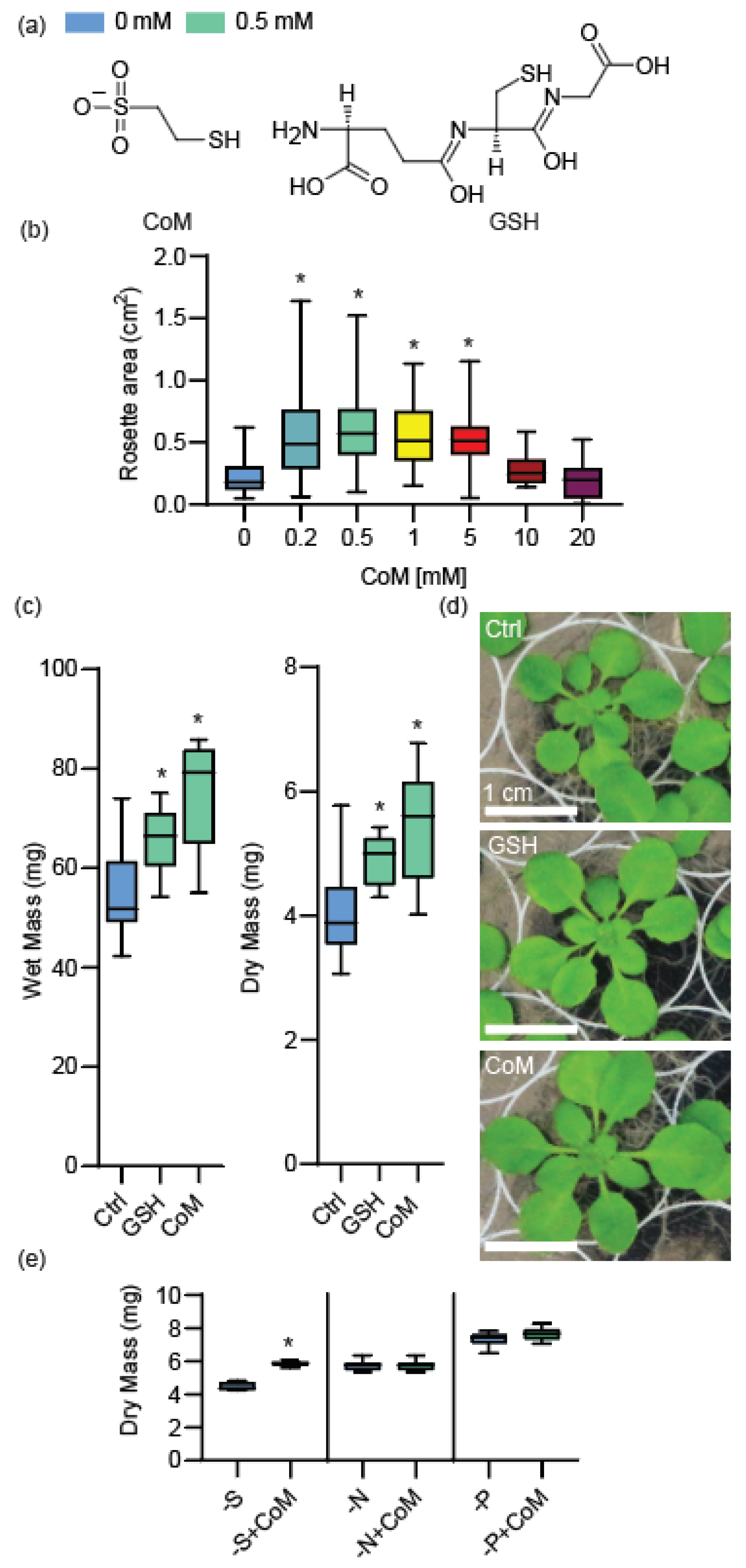 Antioxidants 14 00140 g001