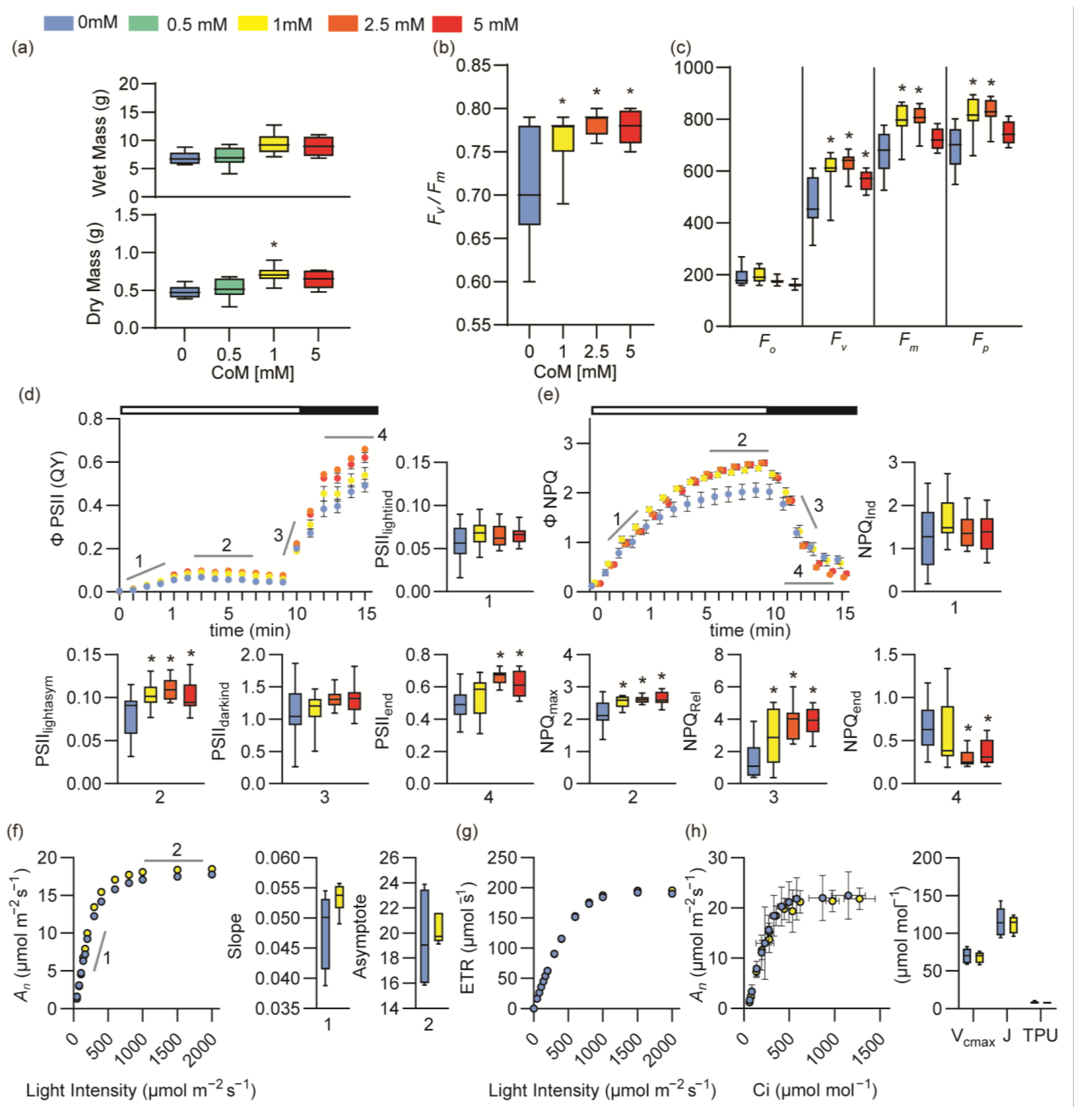 Antioxidants 14 00140 g002