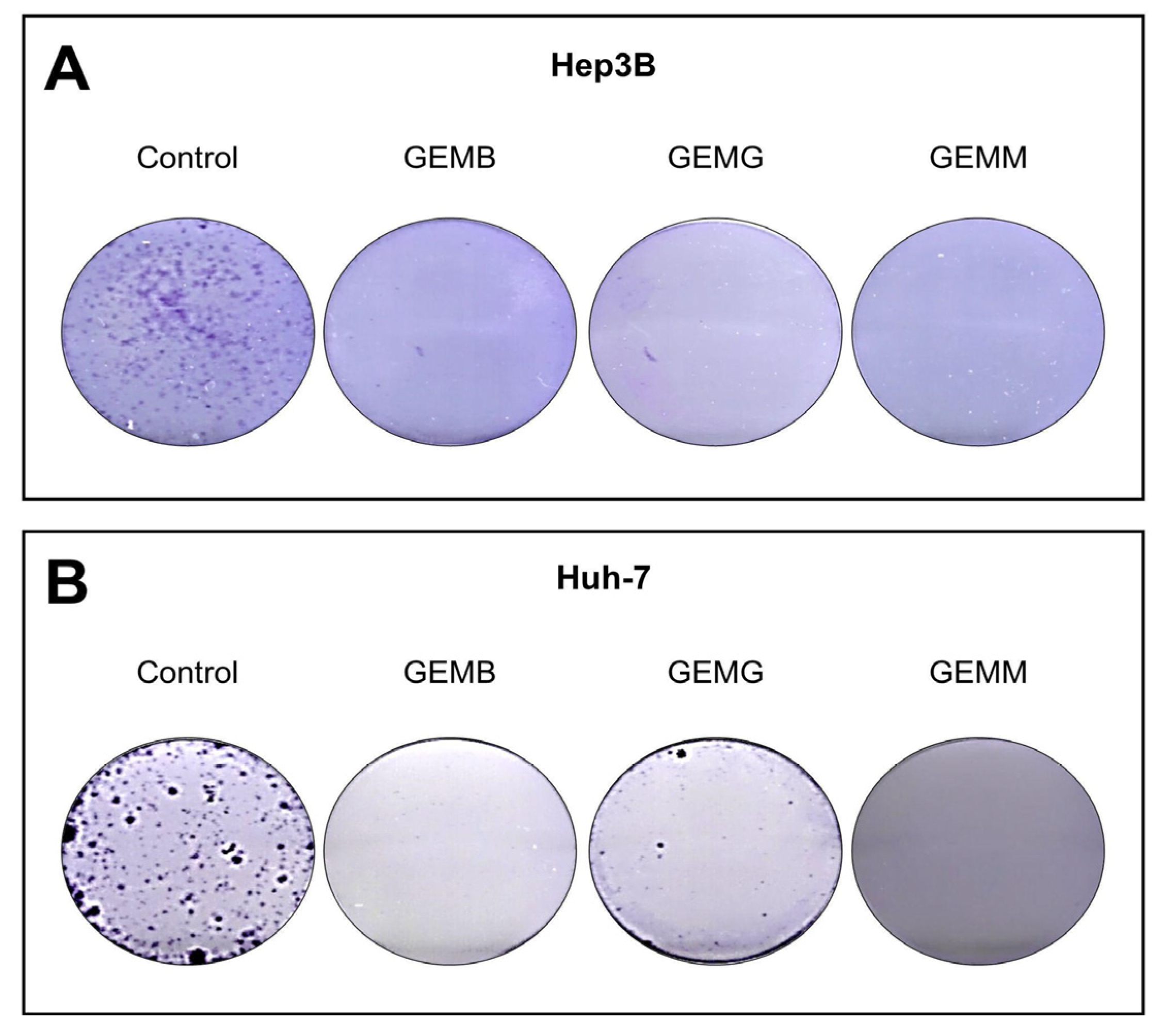 Antioxidants 14 00141 g008