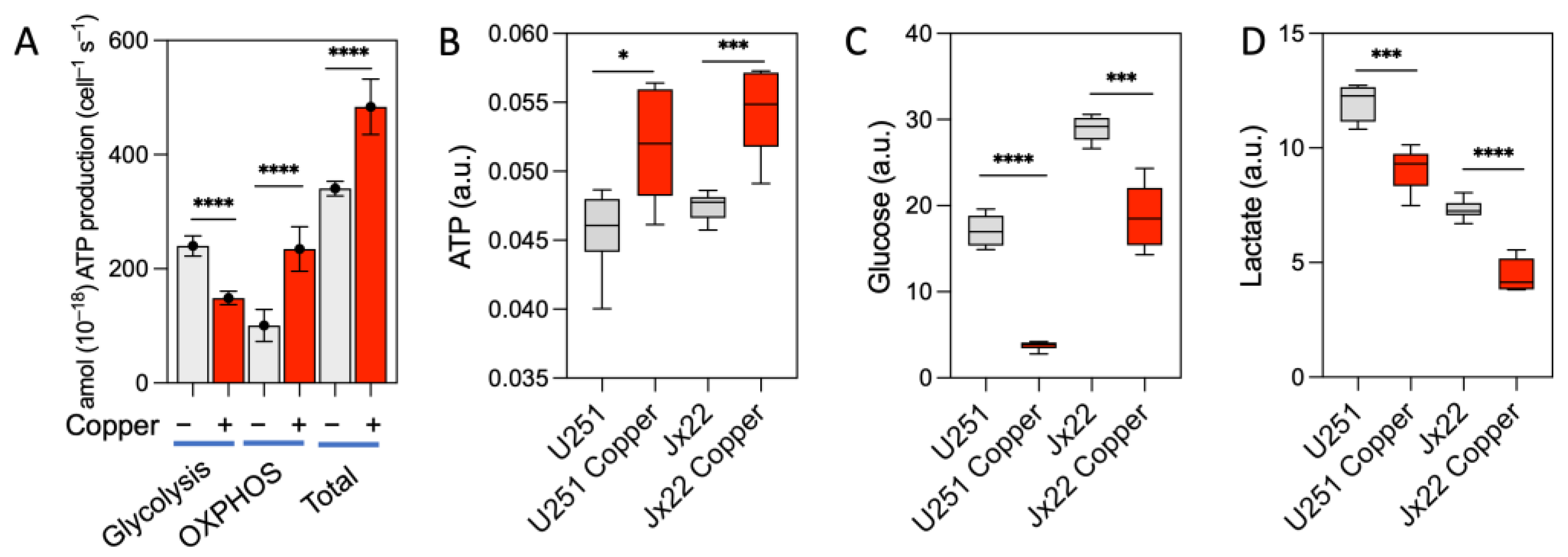 Antioxidants 14 00142 g003