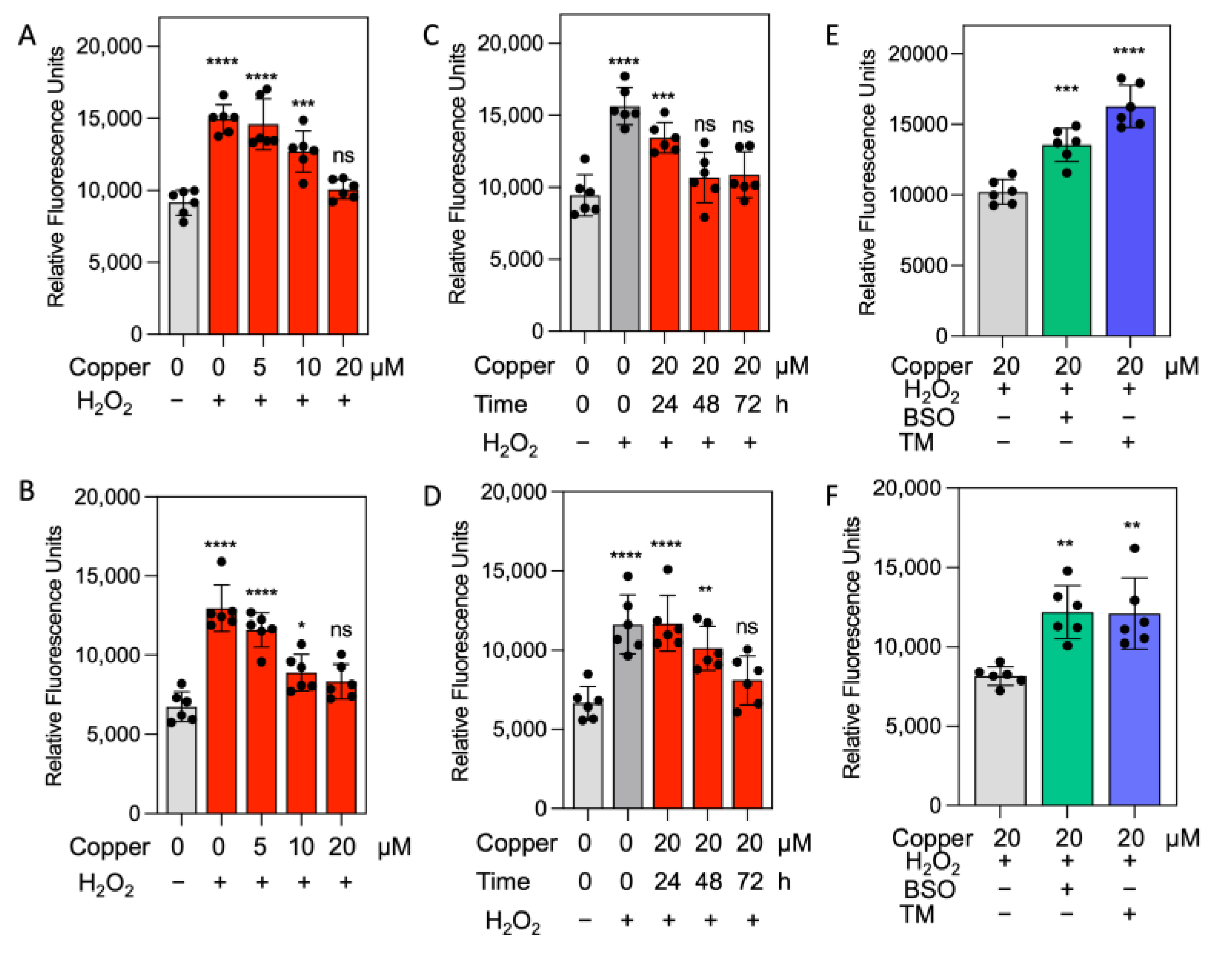 Antioxidants 14 00142 g006
