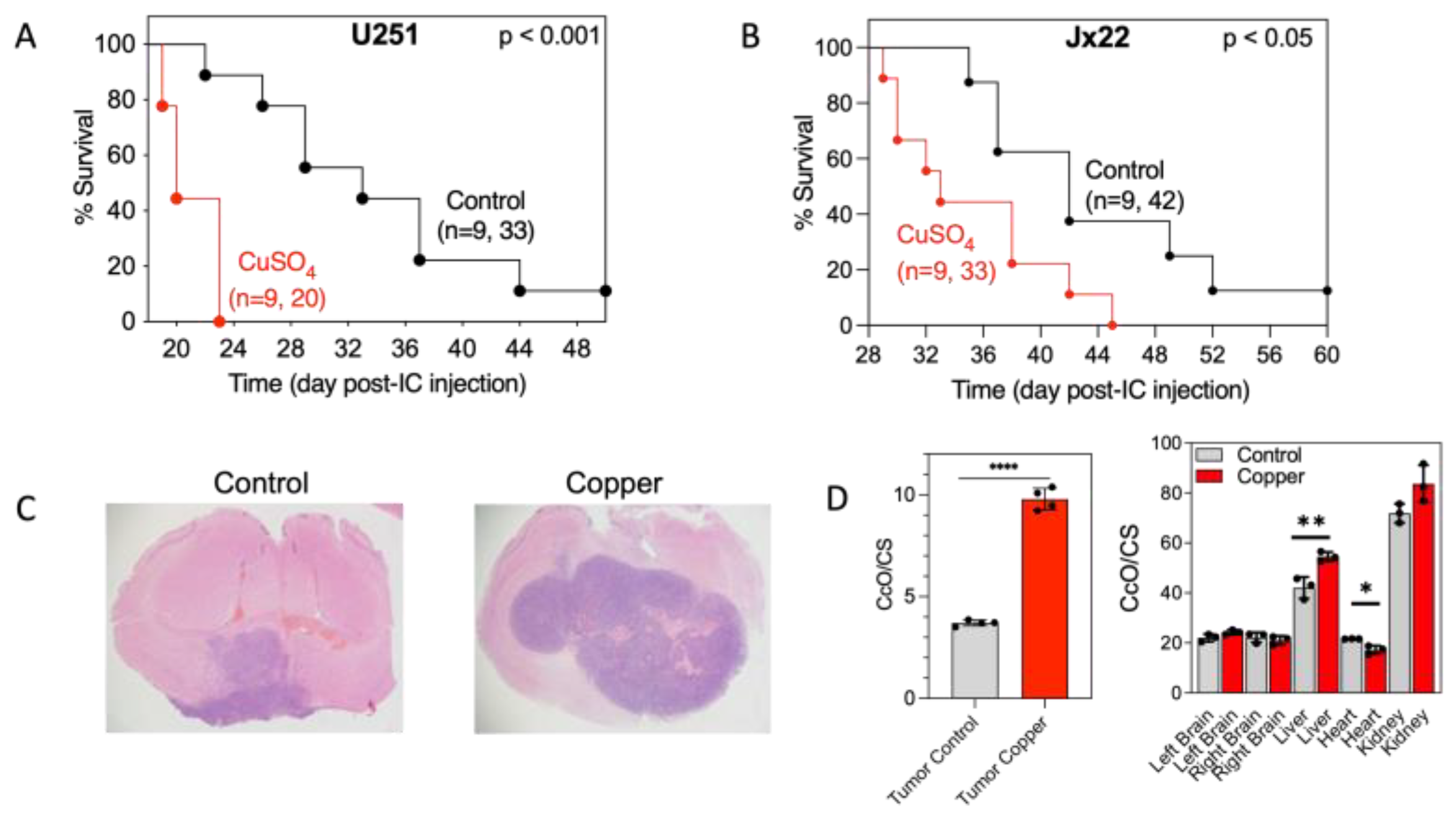 Antioxidants 14 00142 g007