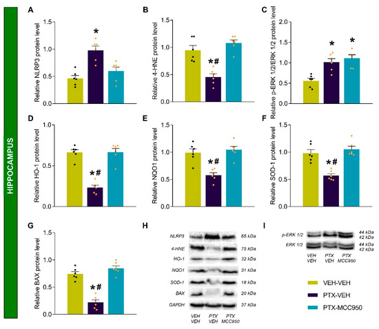 MCC950 Reduces the Anxiodepressive-like Behaviors and Memory Deficits  Related to Paclitaxel-Induced Peripheral Neuropathy in Mice