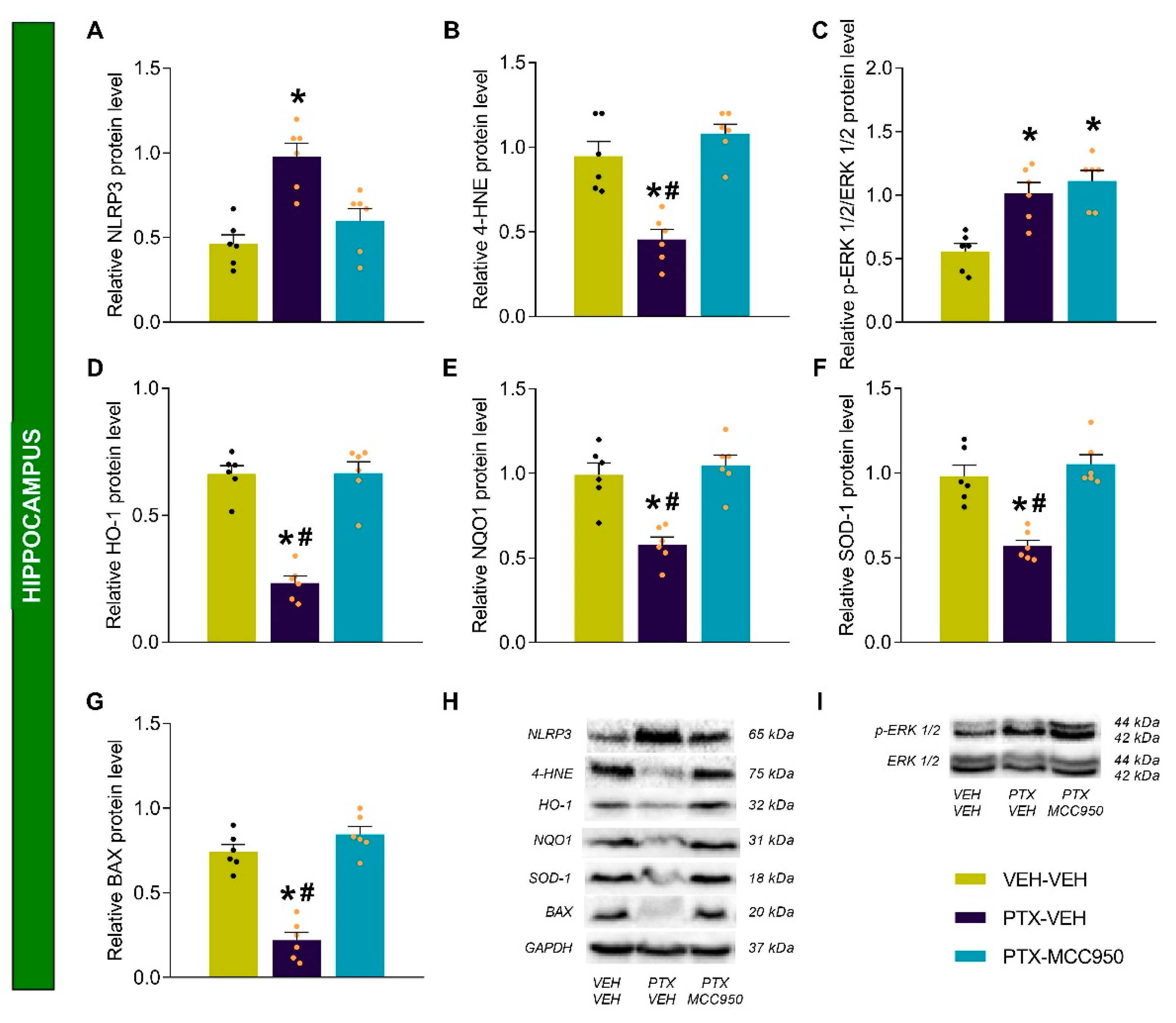 Antioxidants 14 00143 g007