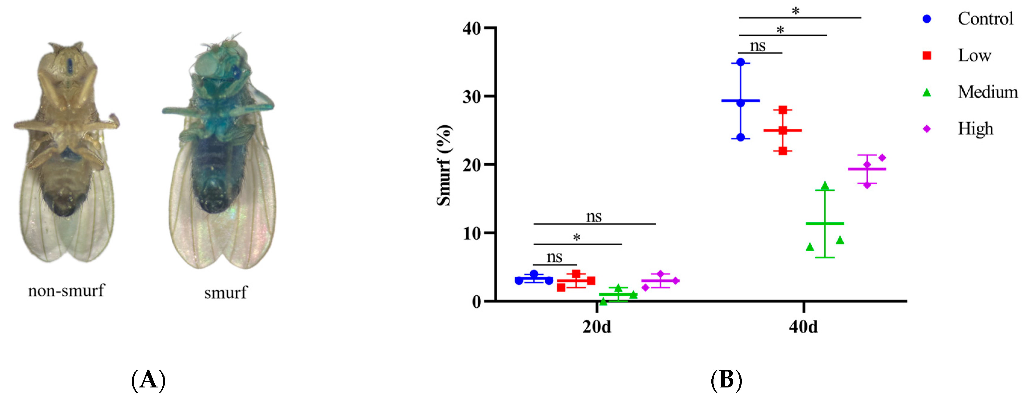 Antioxidants 14 00147 g005