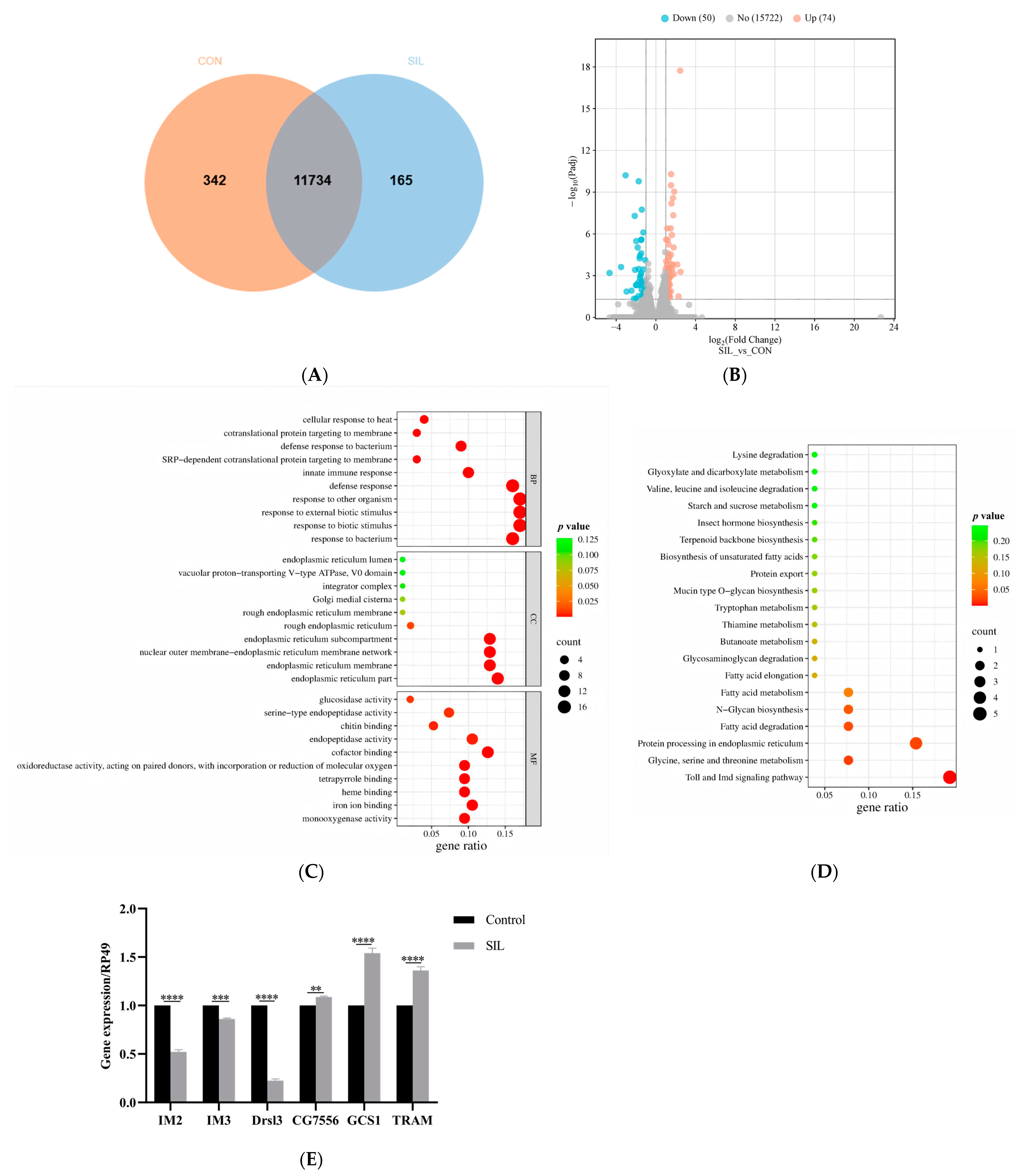 Antioxidants 14 00147 g007