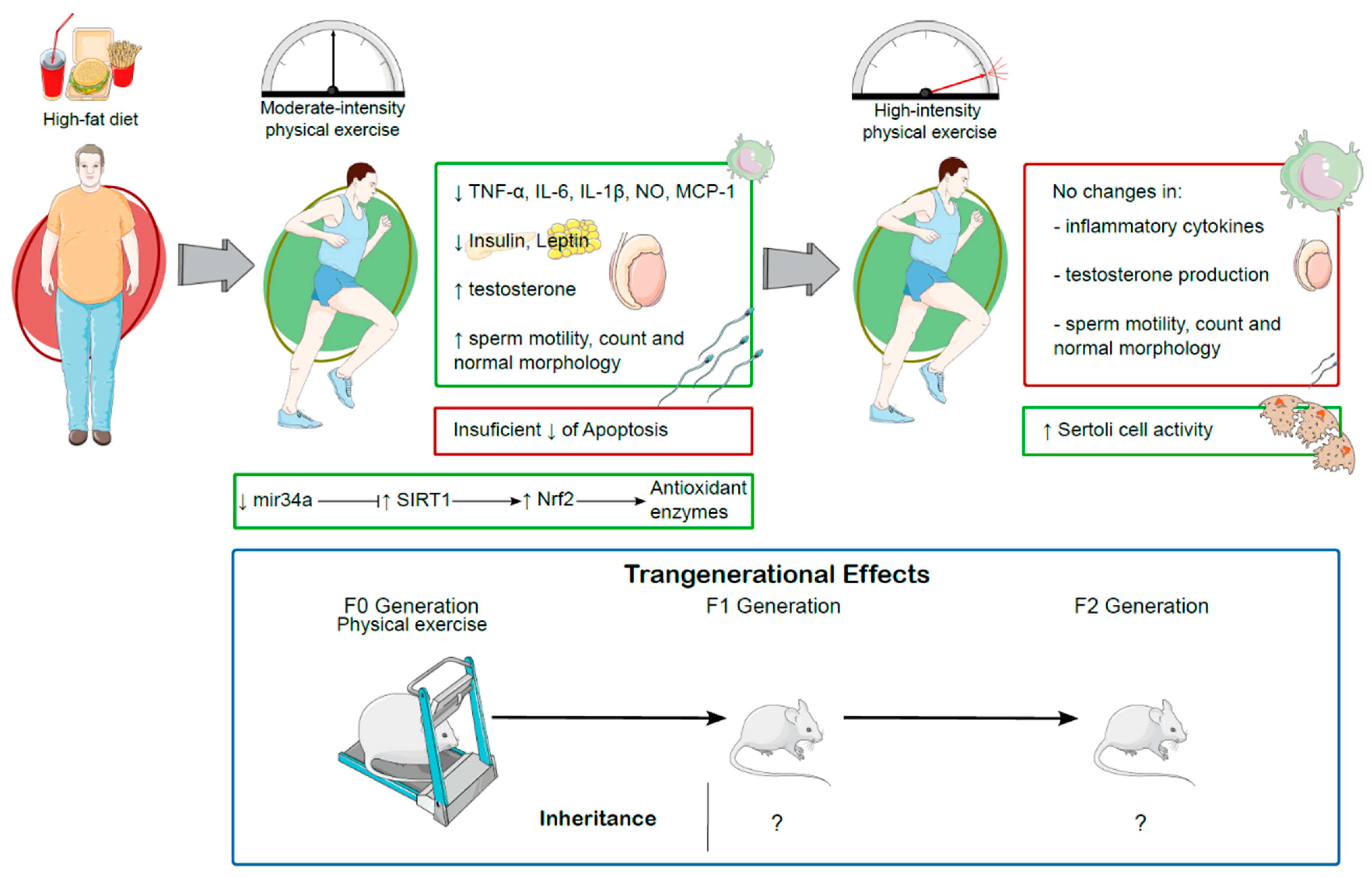 Antioxidants 14 00150 g004 Antioxidants 14 00150 g004
