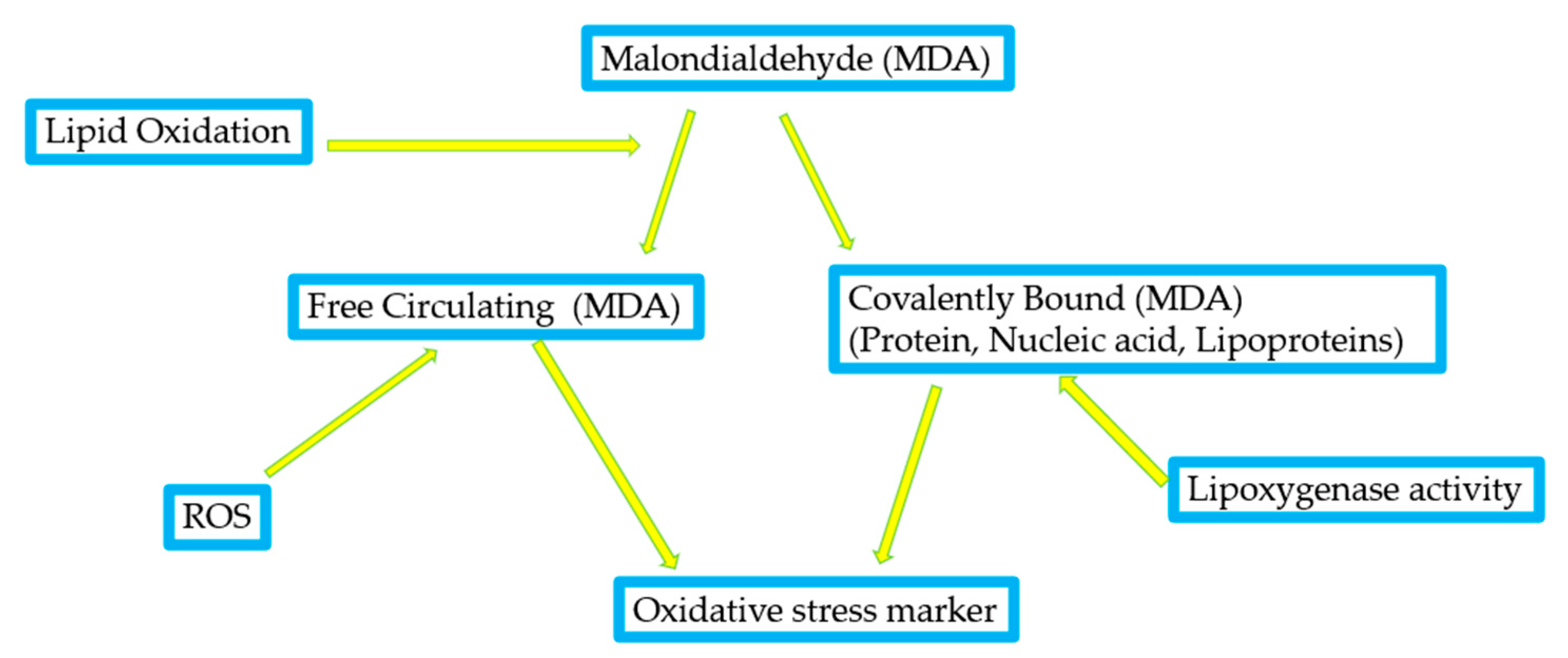Antioxidants 14 00157 g004