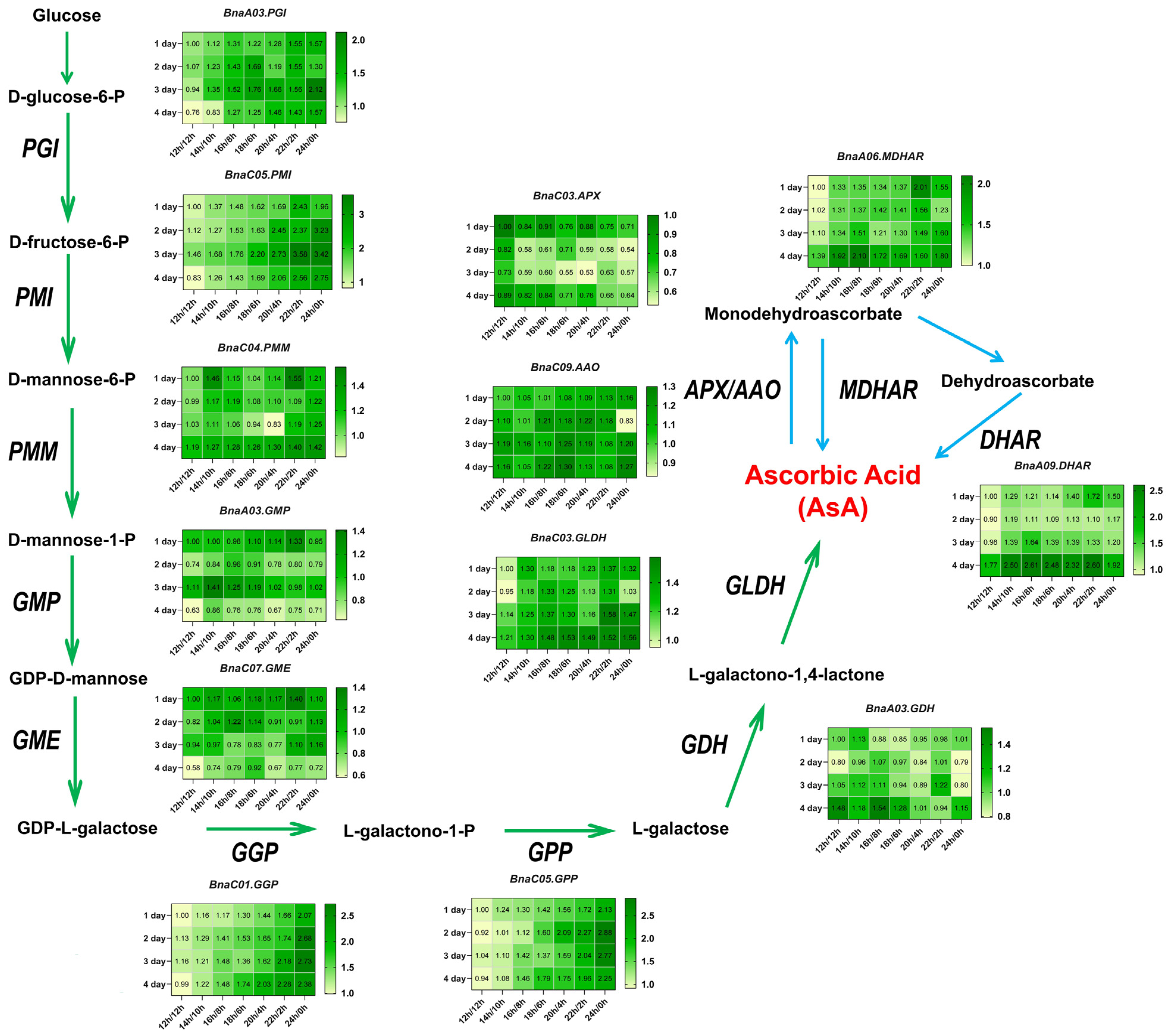 Antioxidants 14 00160 g007