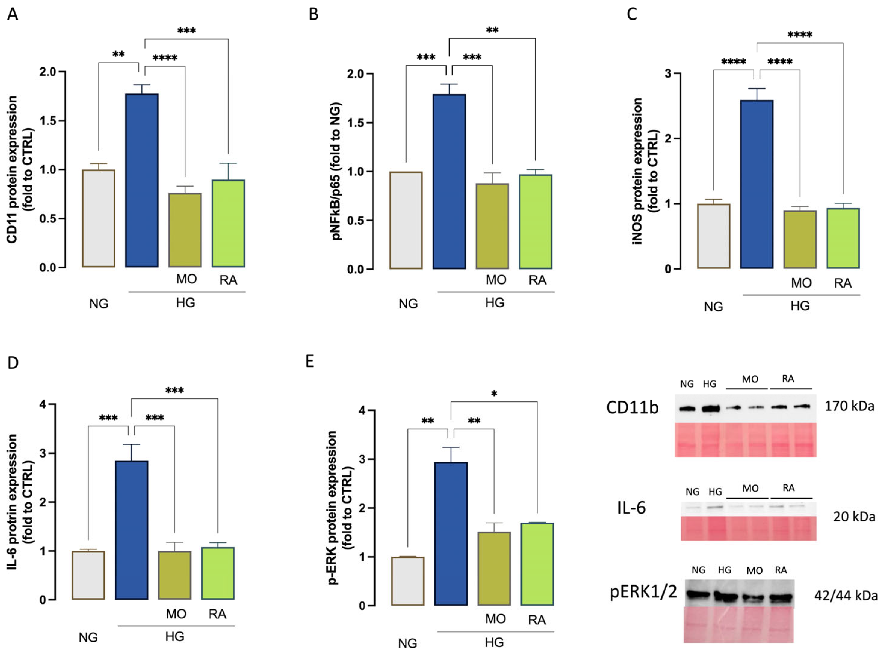 Antioxidants 14 00161 g007