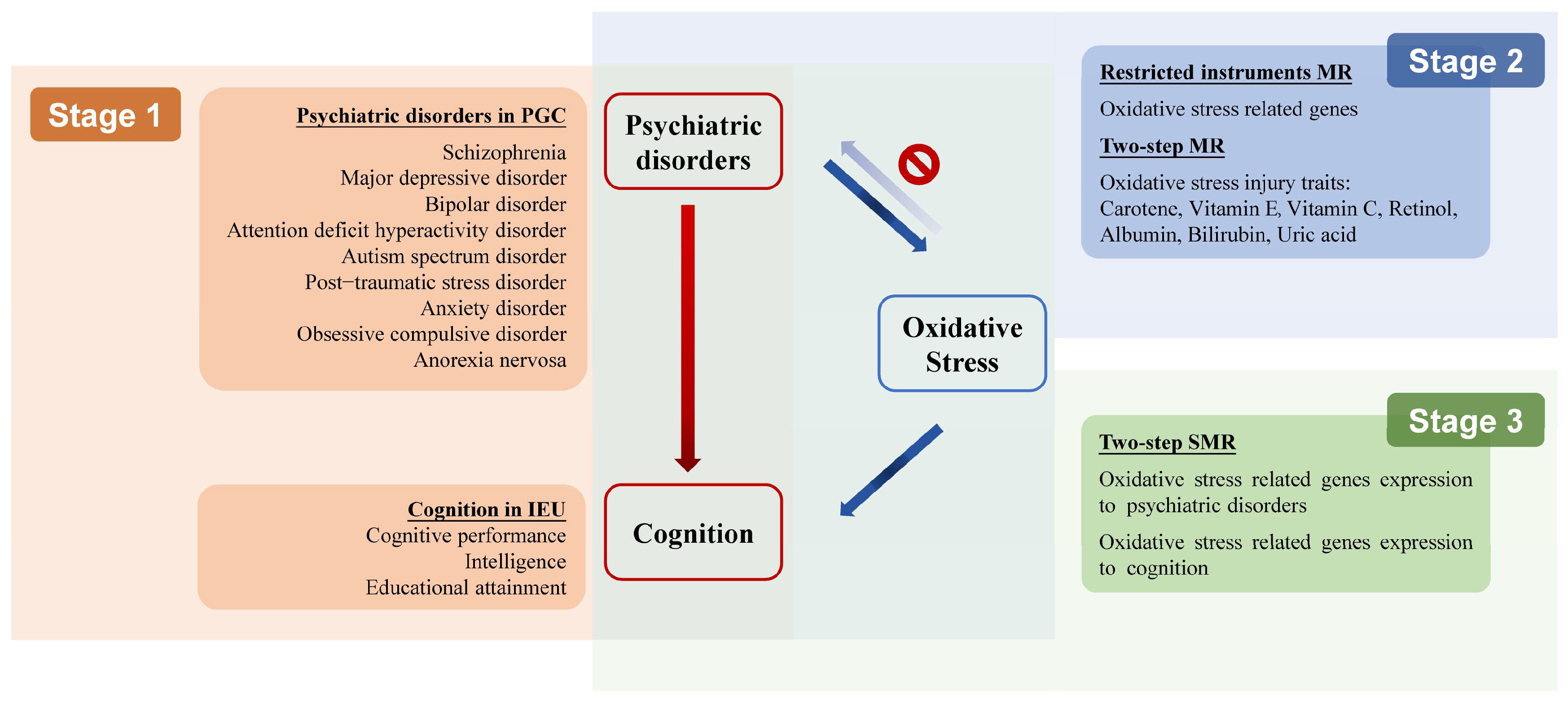 Antioxidants 14 00162 g001