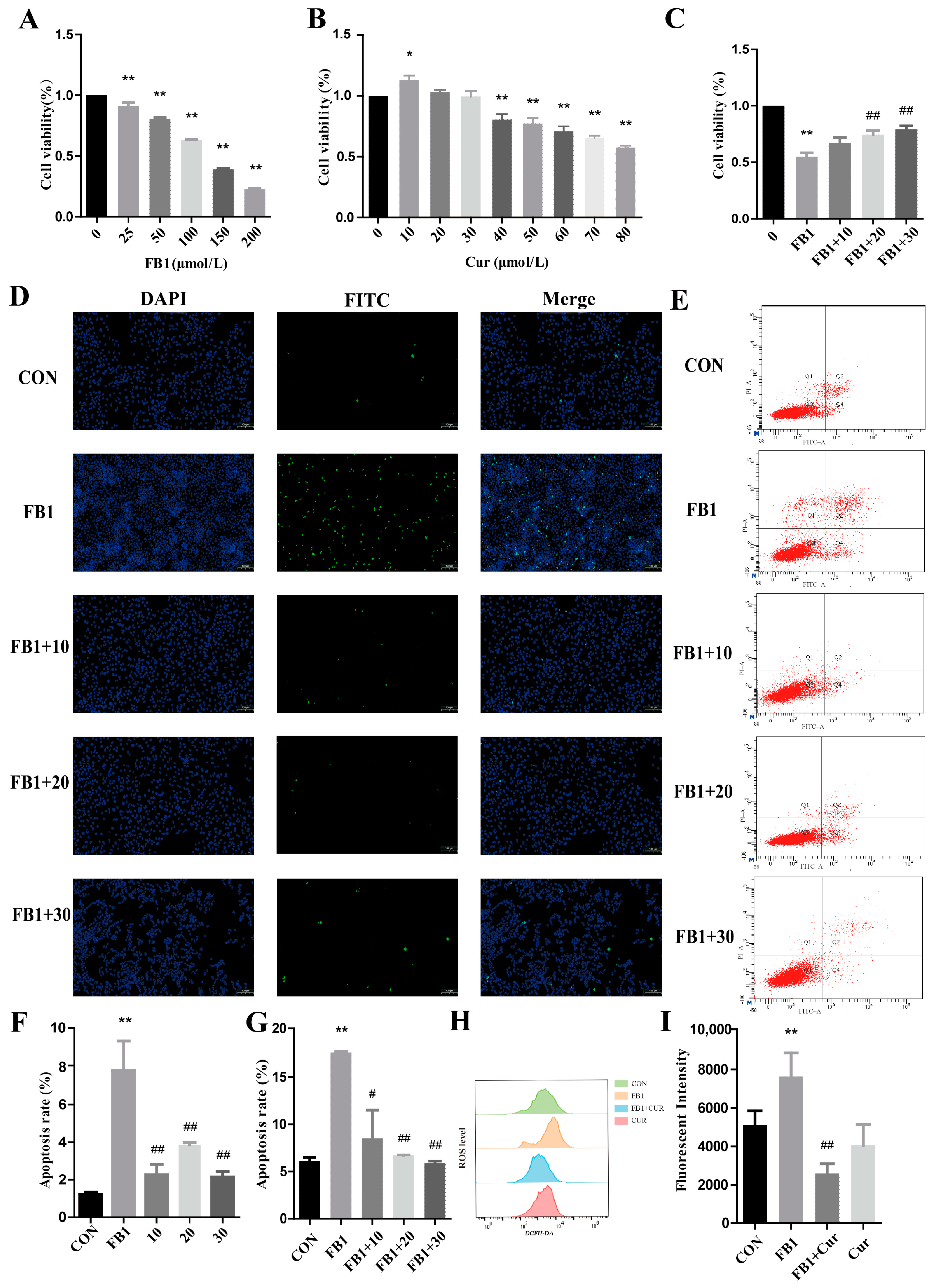 Antioxidants 14 00168 g001
