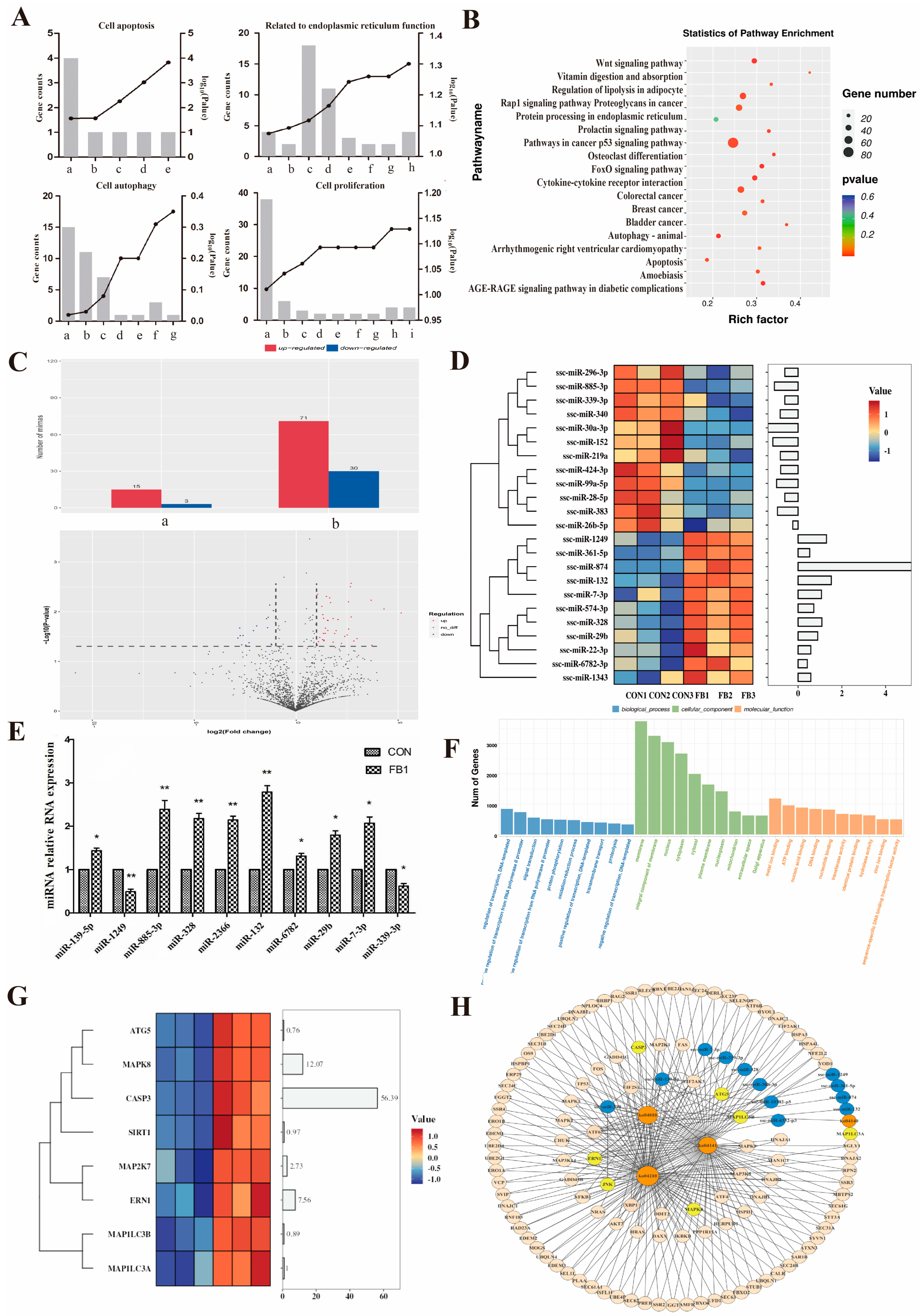 Antioxidants 14 00168 g002