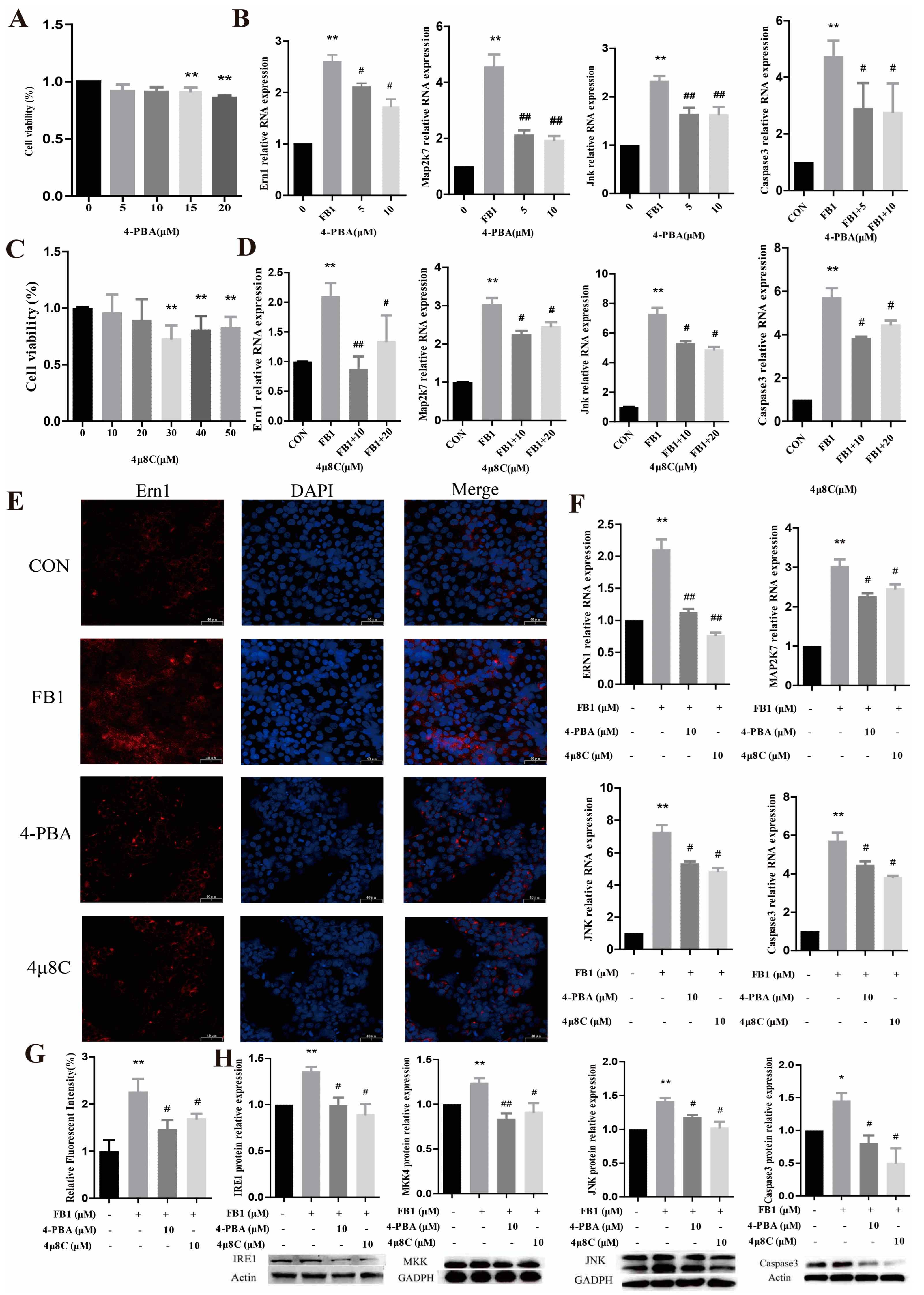 Antioxidants 14 00168 g004
