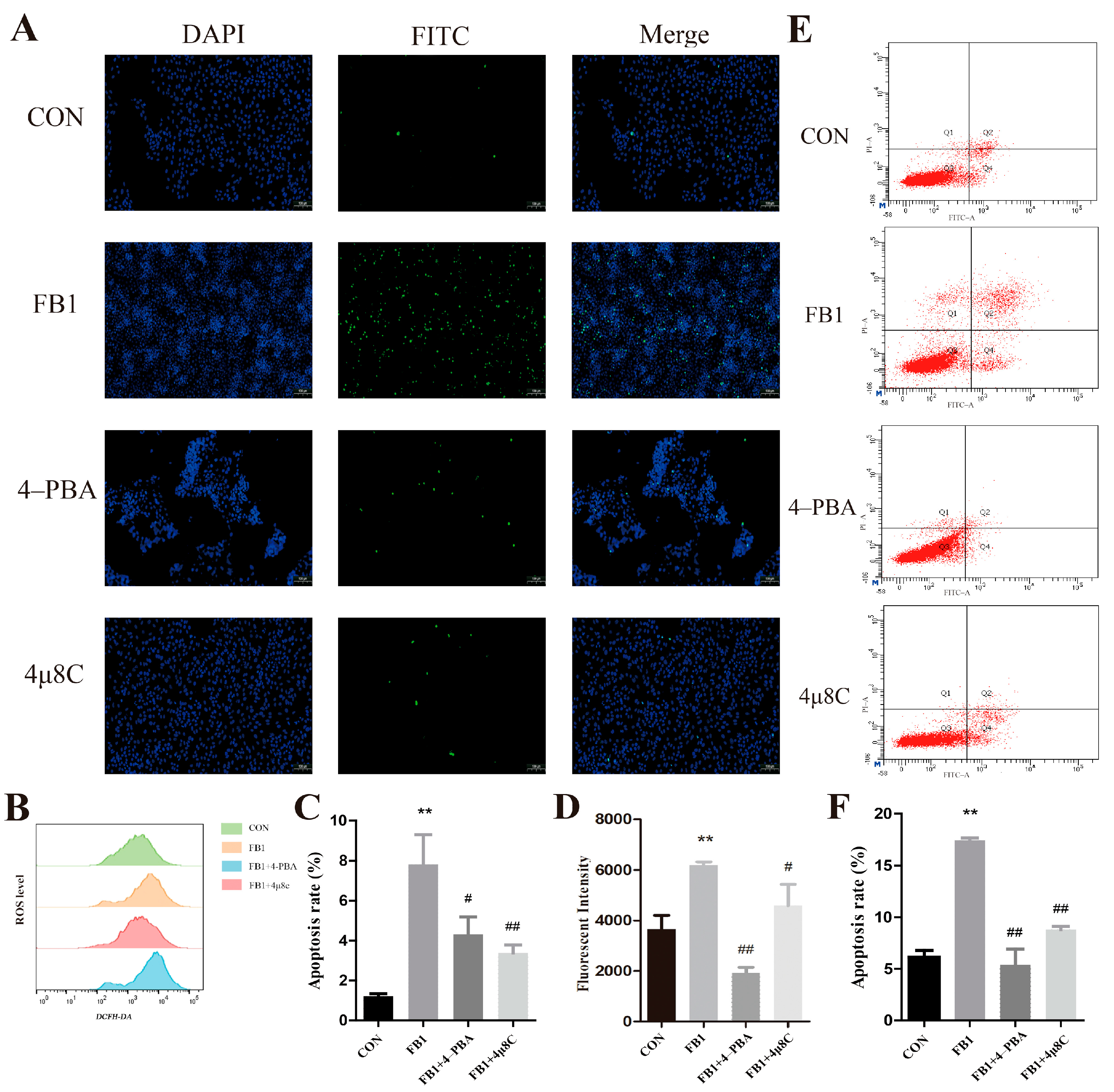 Antioxidants 14 00168 g005