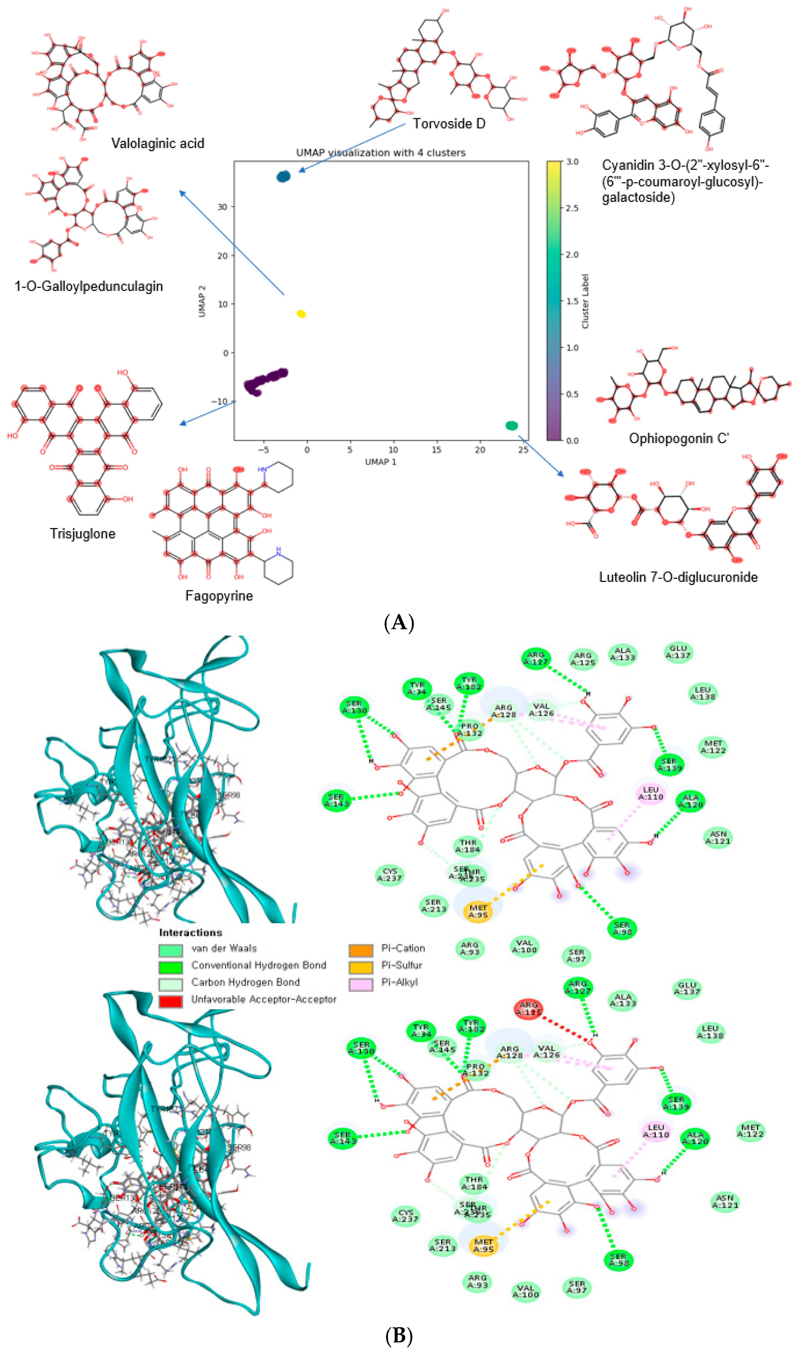 Antioxidants 14 00170 g004a Antioxidants 14 00170 g004a