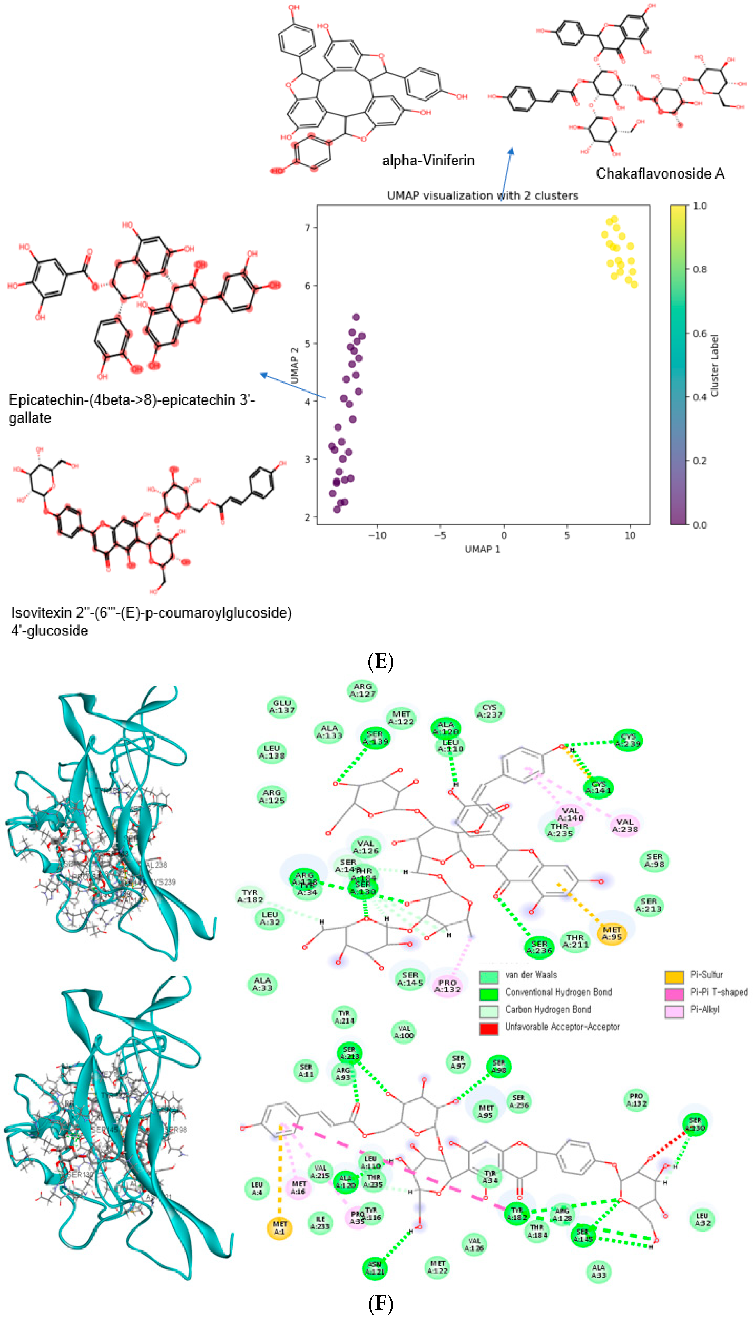 Antioxidants 14 00170 g004c Antioxidants 14 00170 g004c