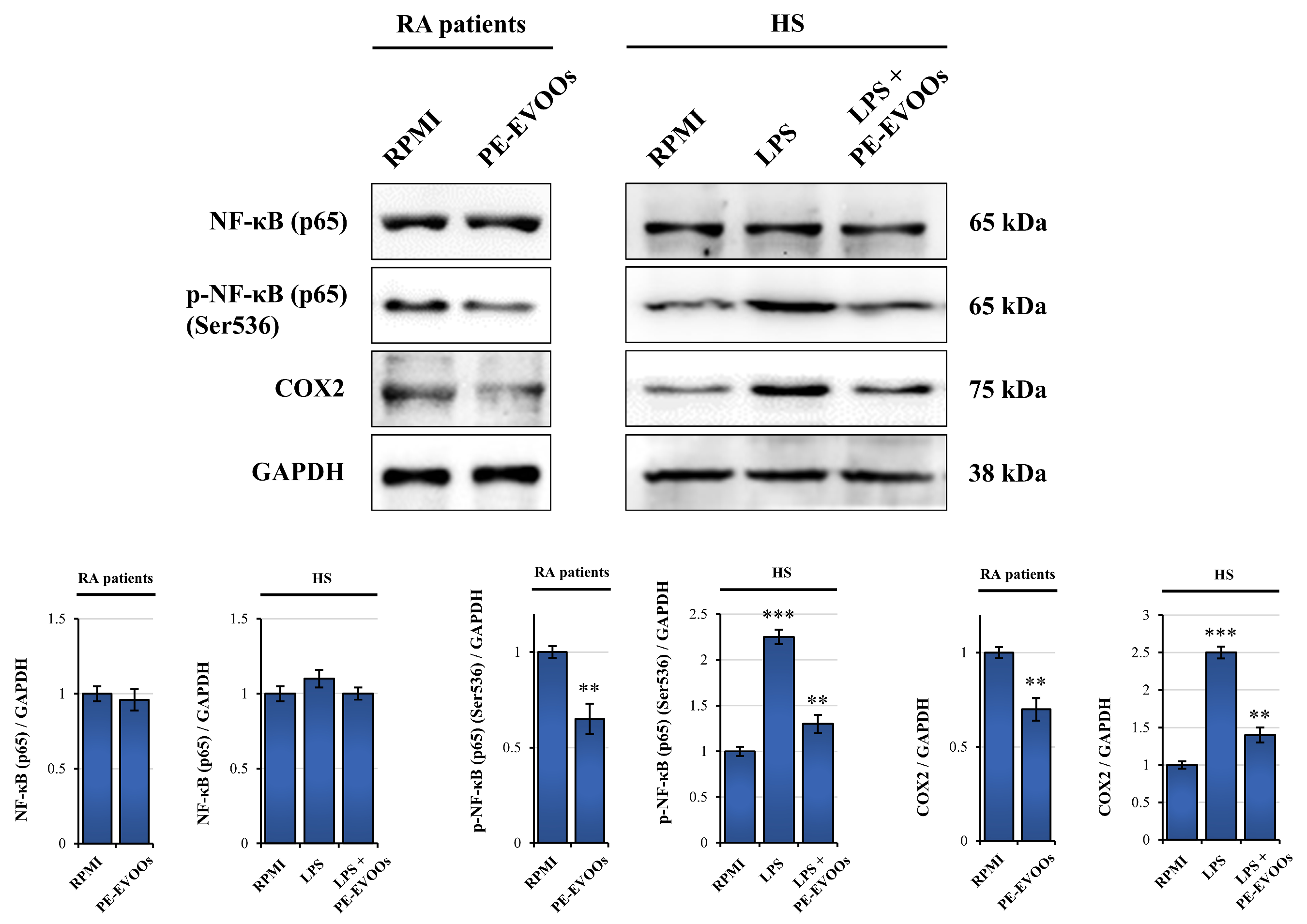Antioxidants 14 00171 g005