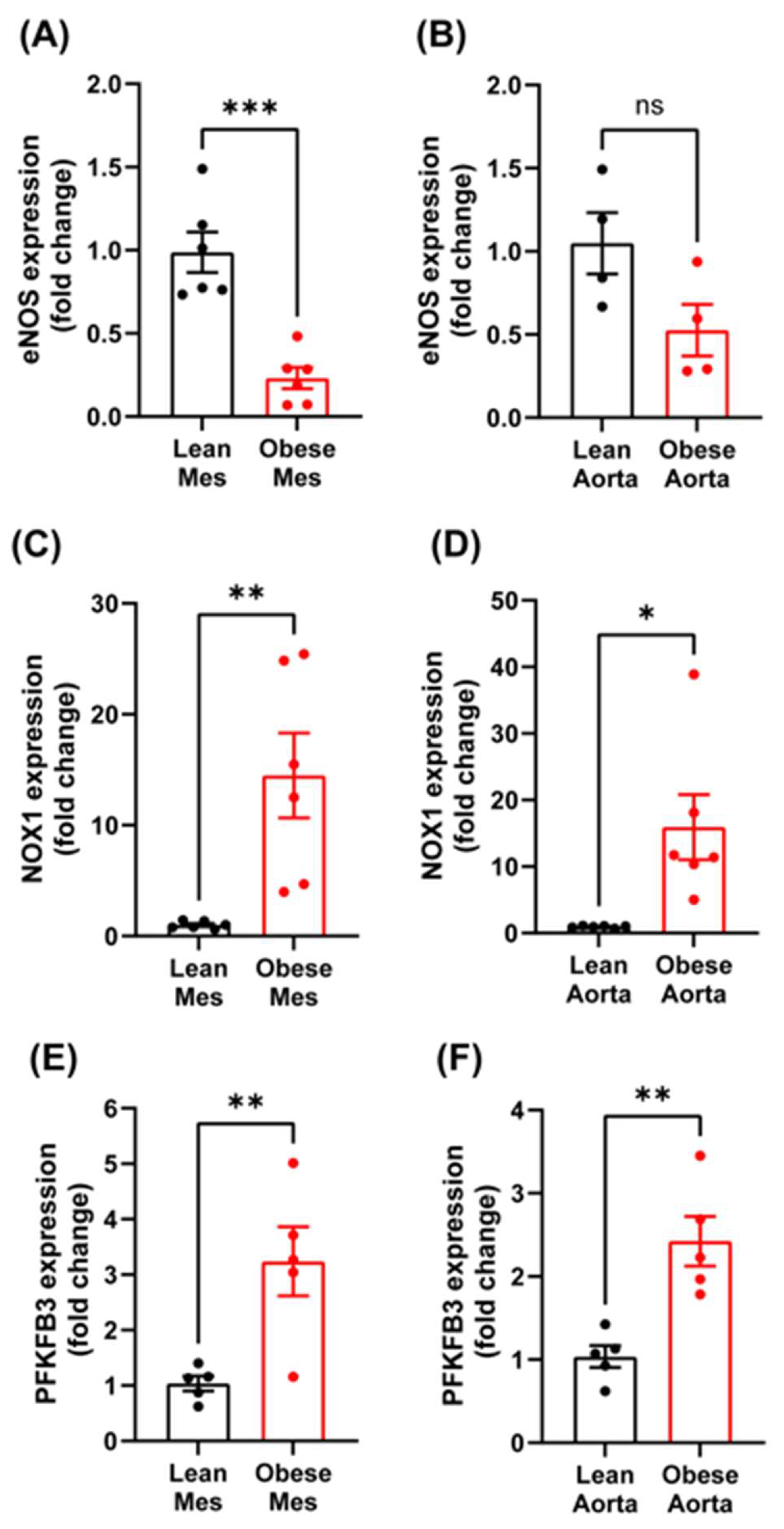 Antioxidants 14 00172 g002