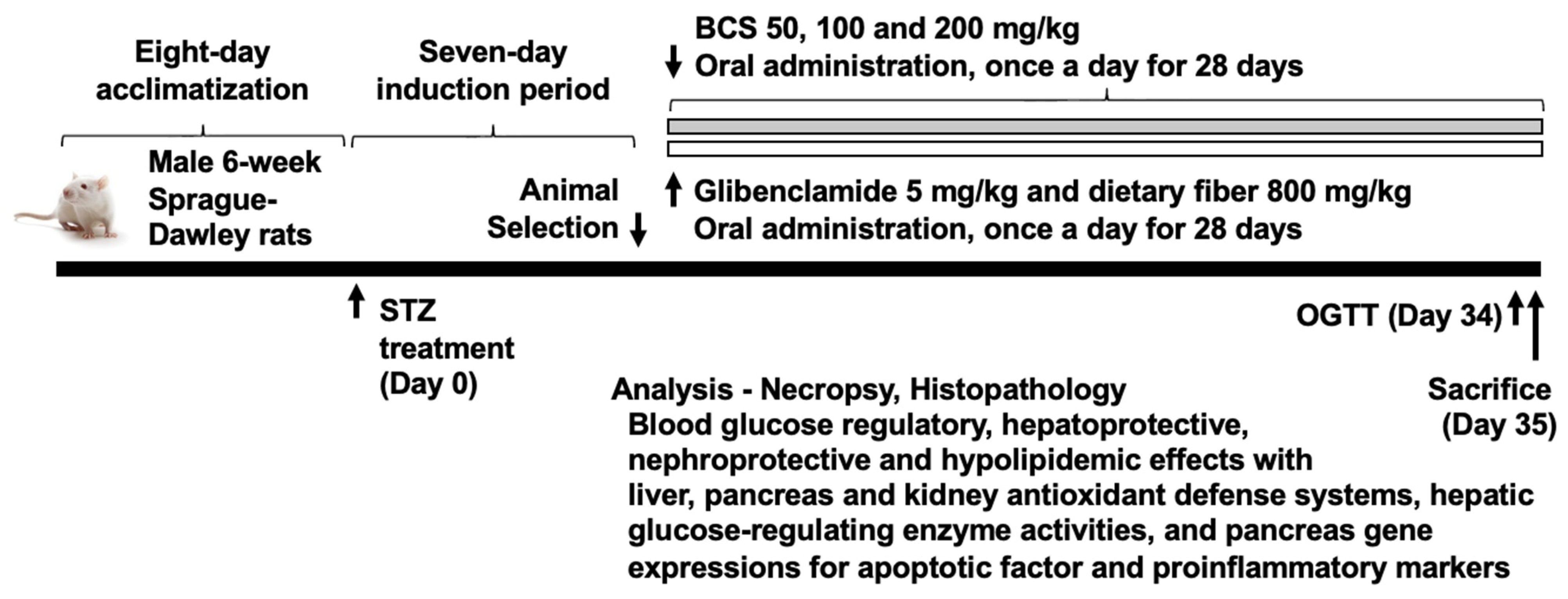 Antioxidants 14 00174 g001