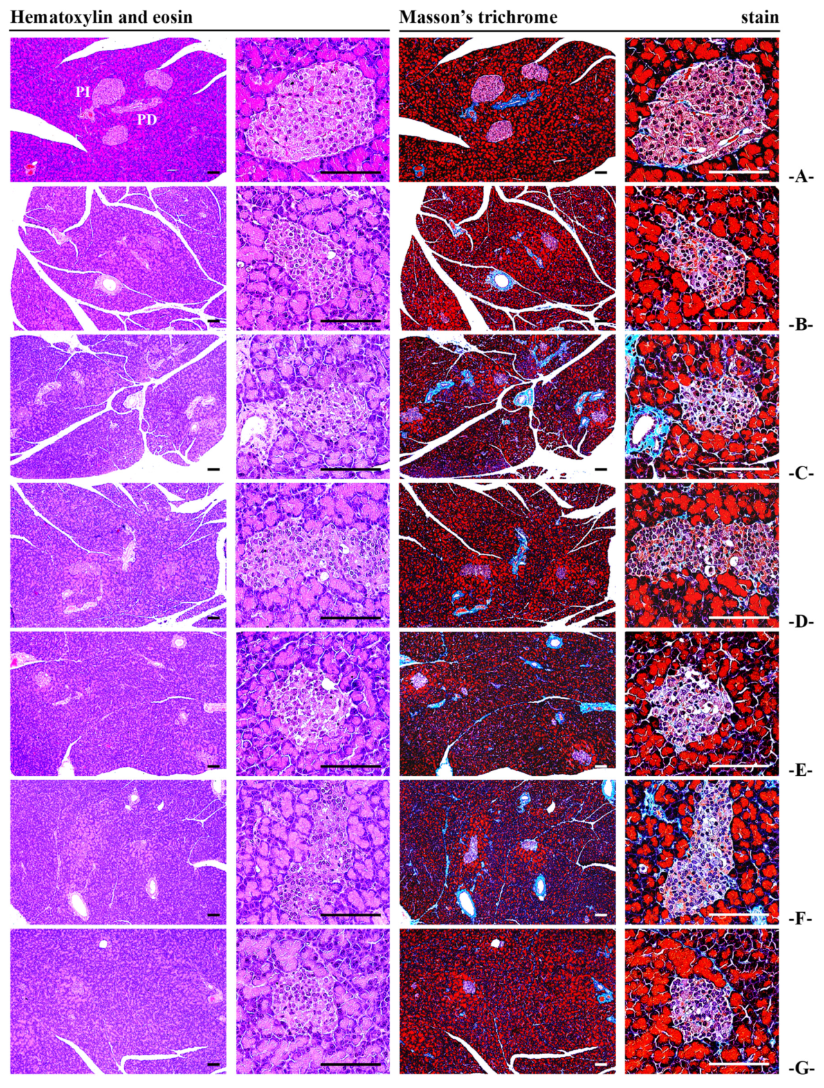 Antioxidants 14 00174 g007