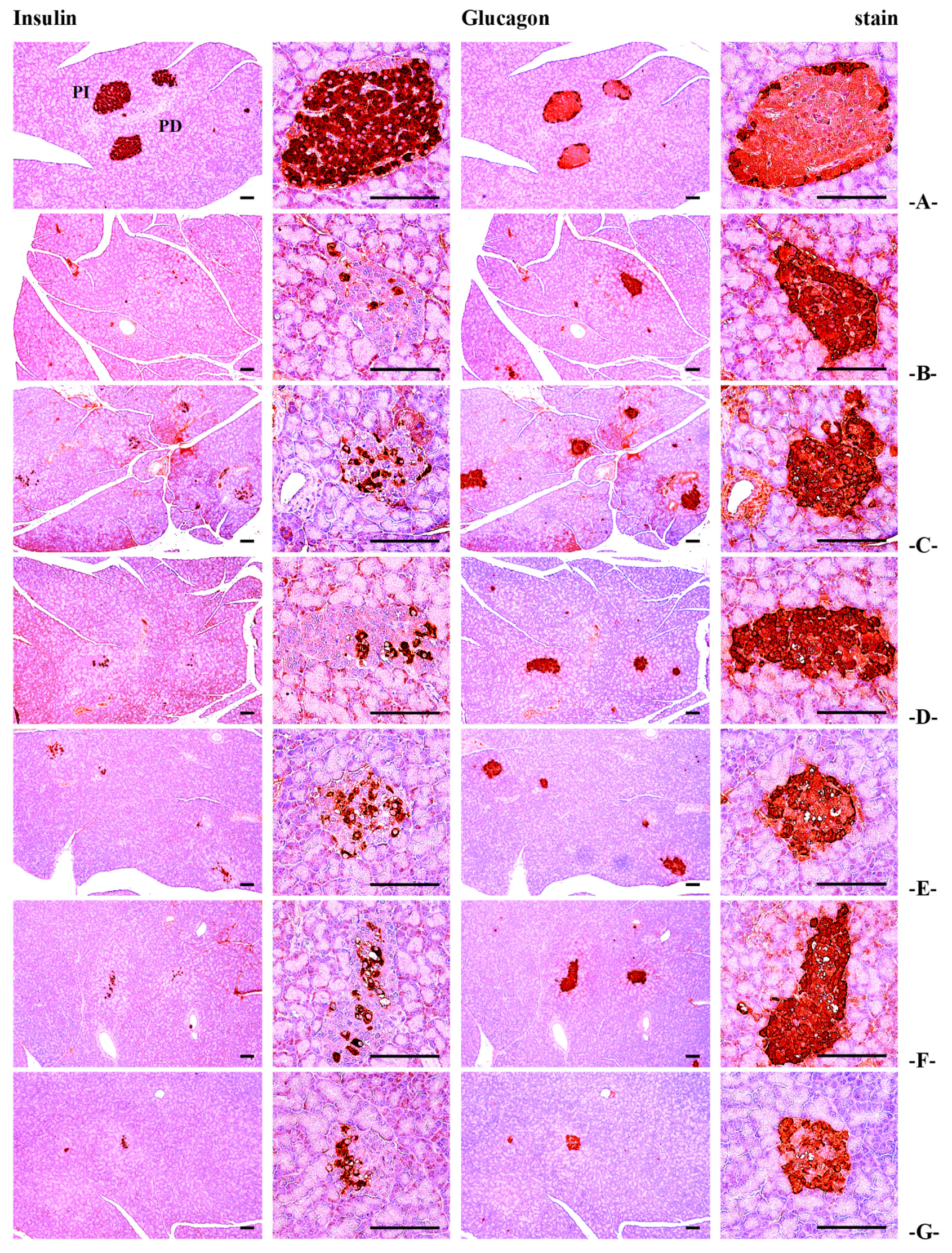 Antioxidants 14 00174 g008