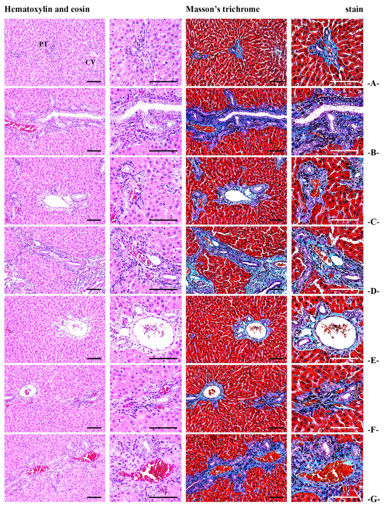 Antioxidants 14 00174 g009