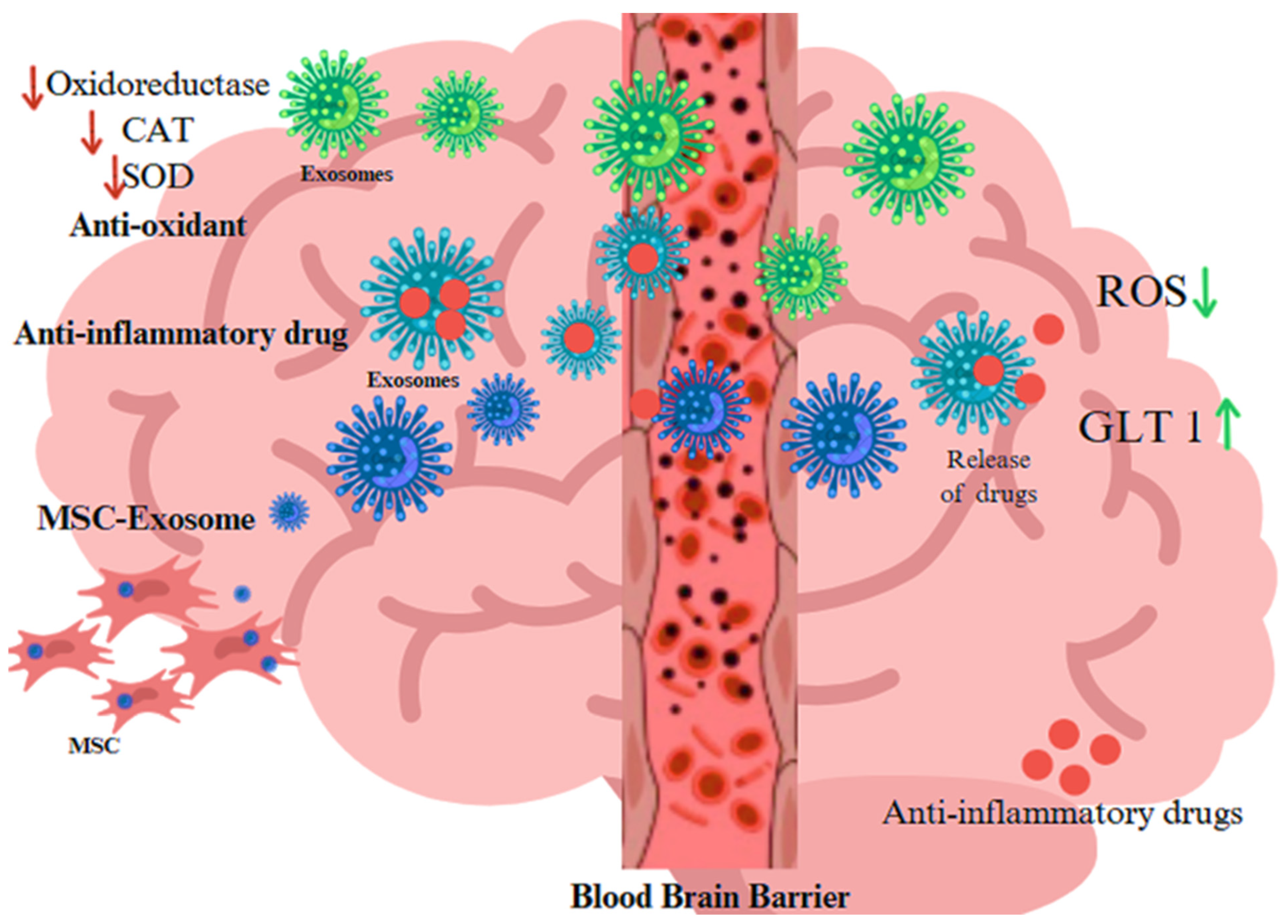Antioxidants 14 00177 g002