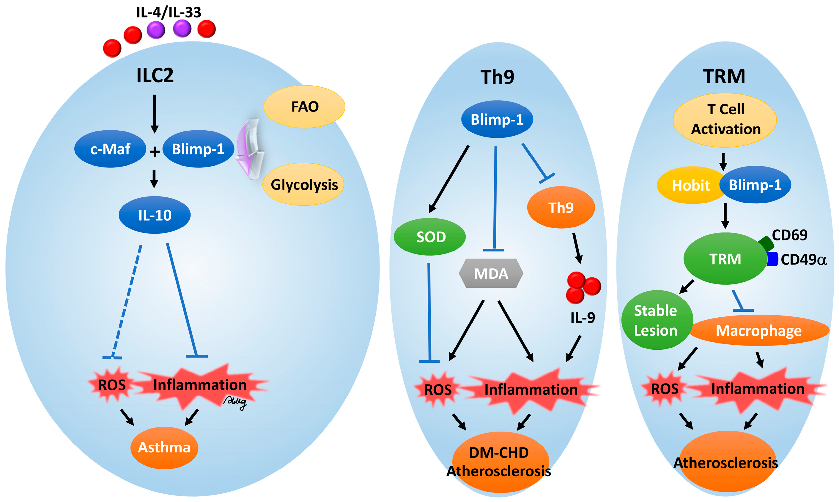 Antioxidants 14 00183 g002