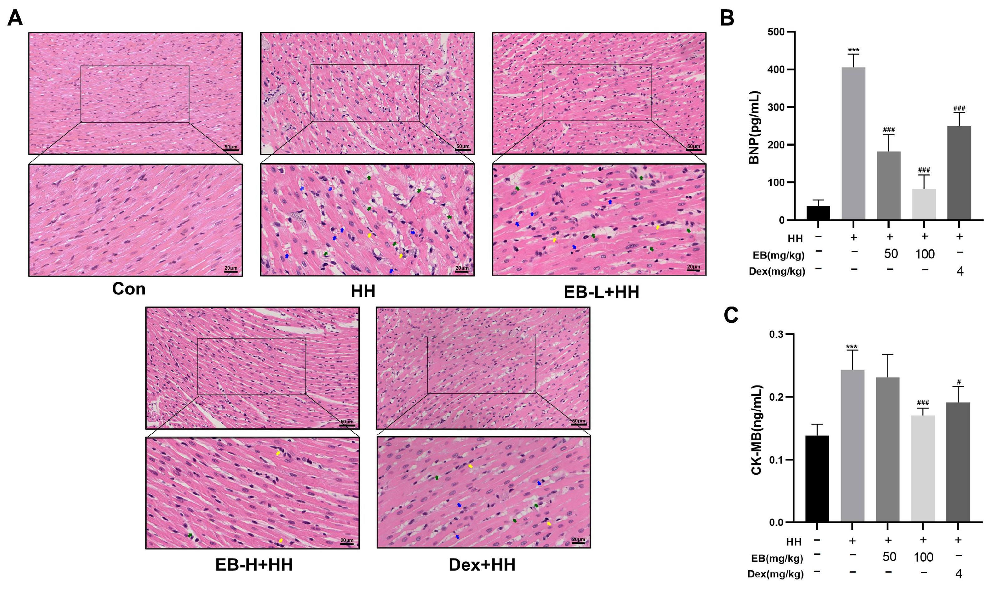 Antioxidants 14 00190 g002
