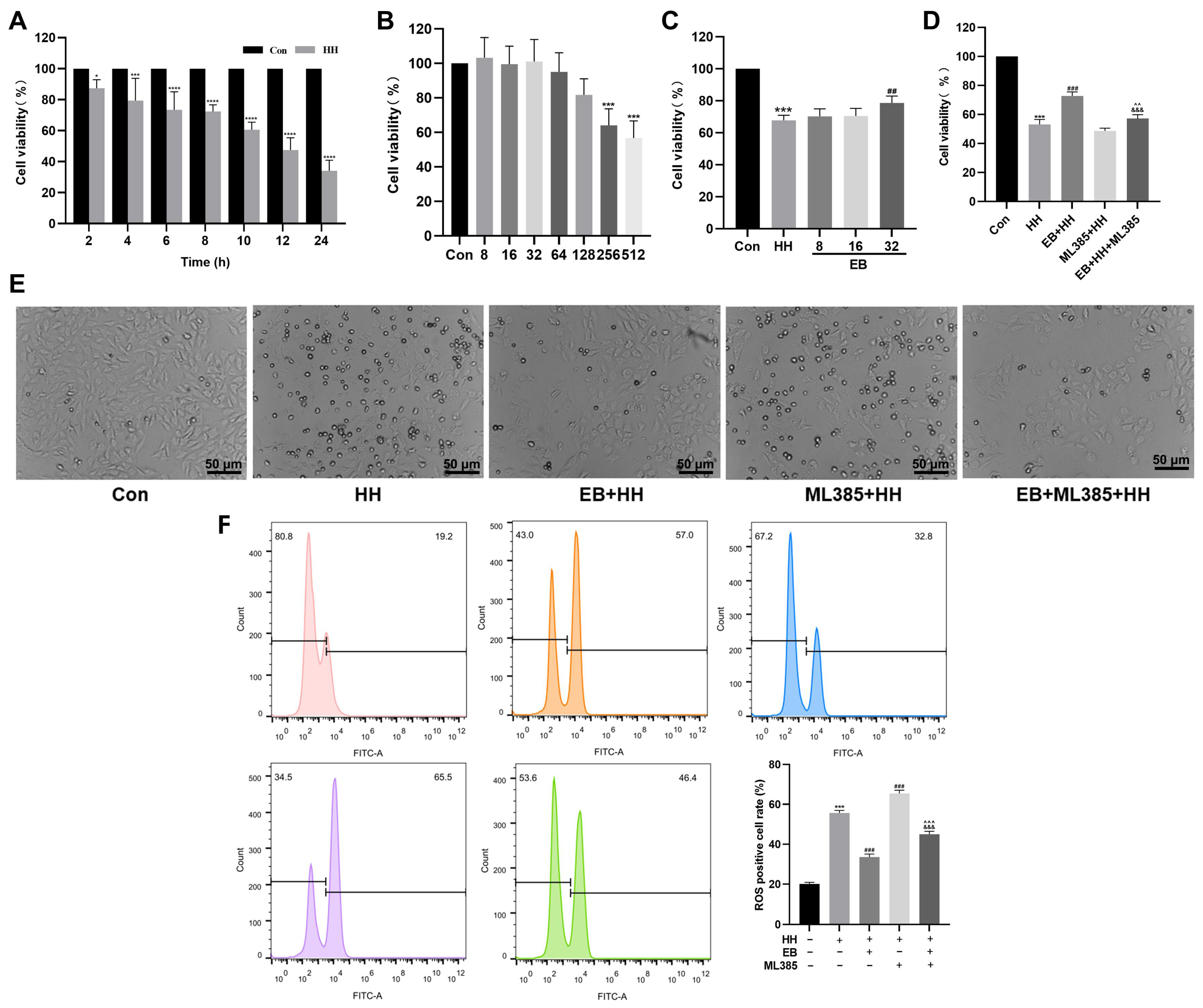 Antioxidants 14 00190 g006