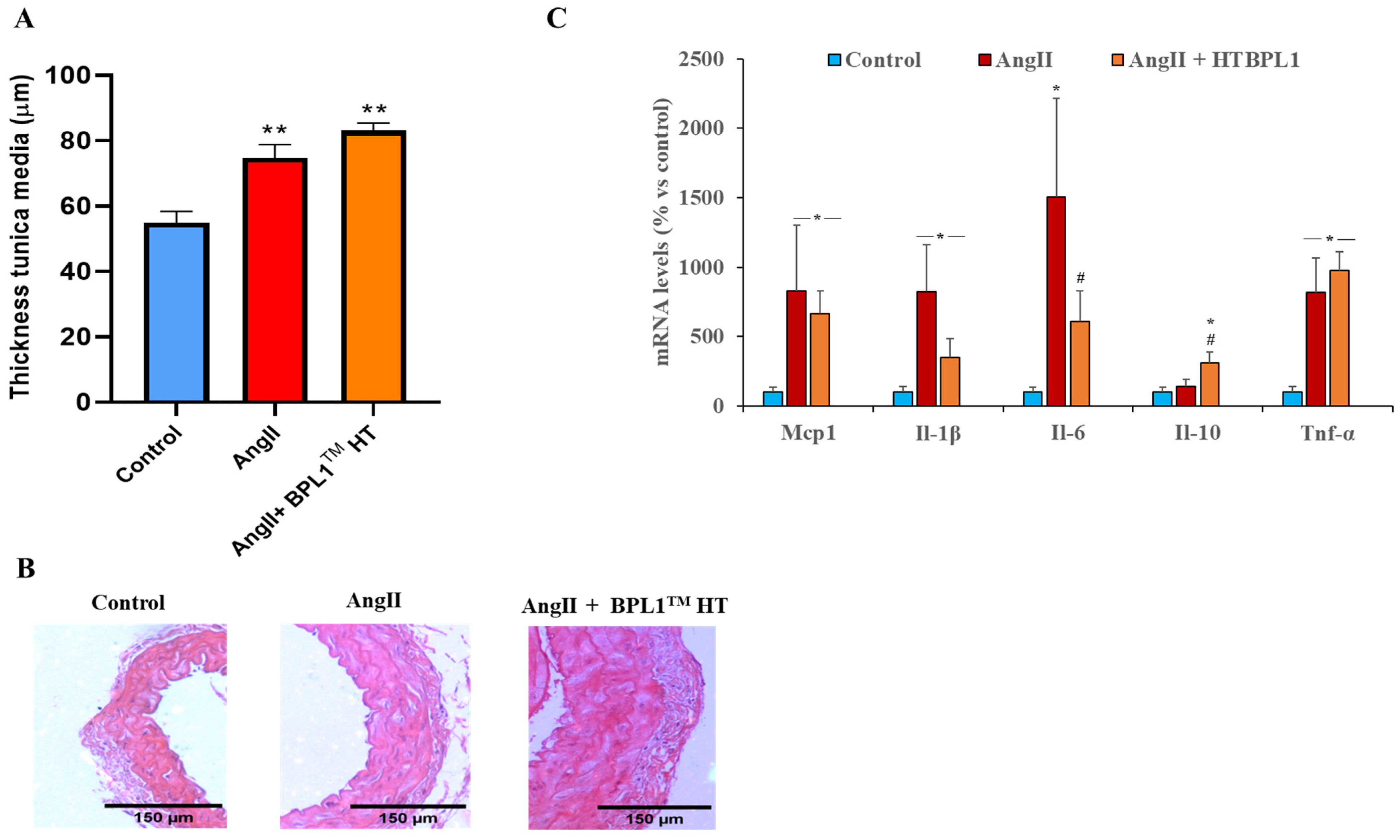 Antioxidants 14 00193 g003