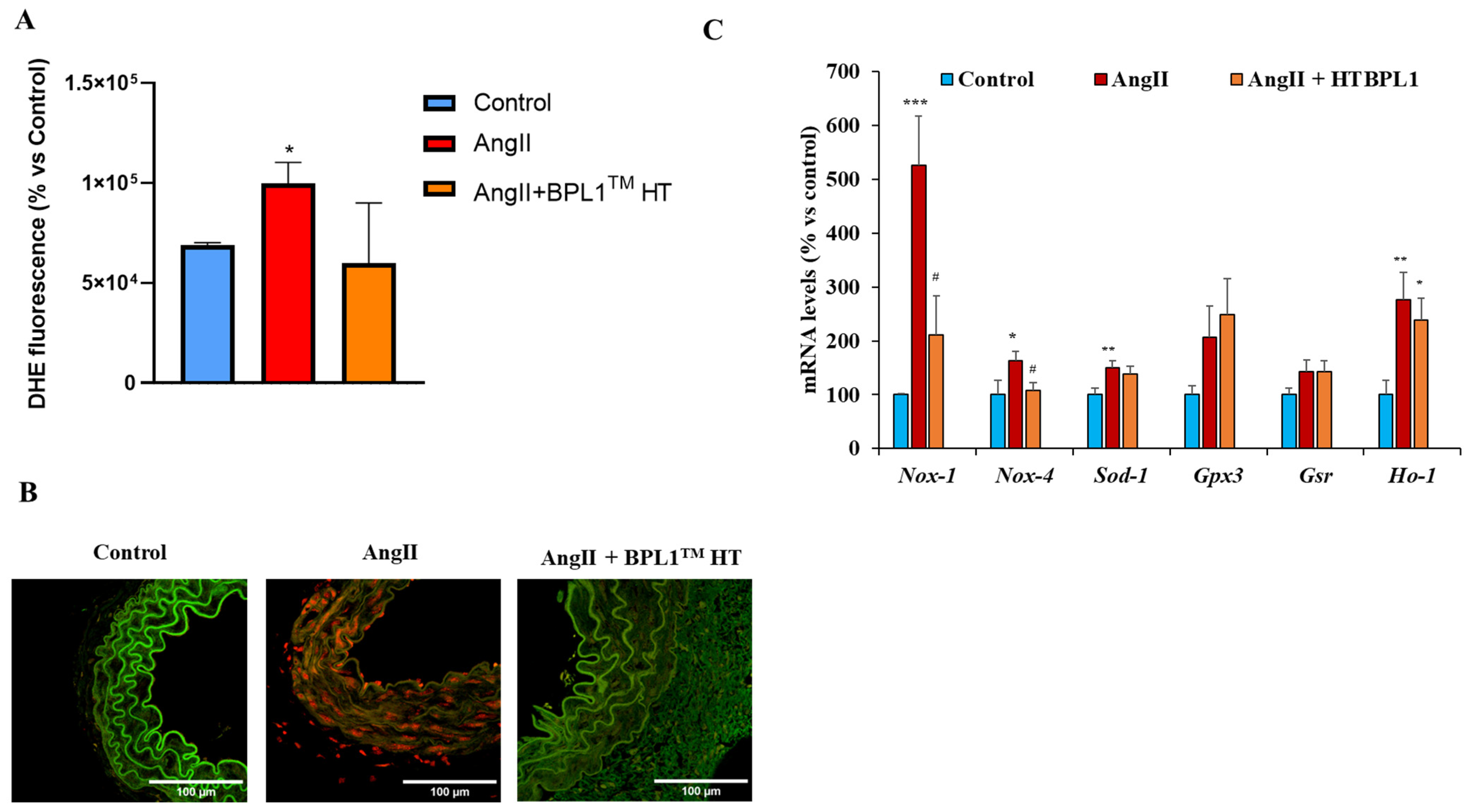 Antioxidants 14 00193 g004