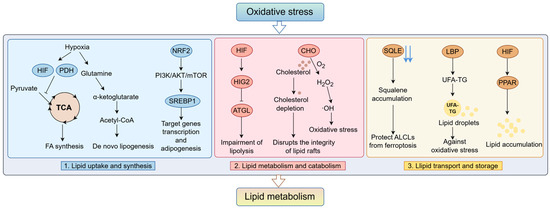 Oxidative Stress and Reprogramming of Lipid Metabolism in Oxidative Stress and Reprogramming of Lipid Metabolism in