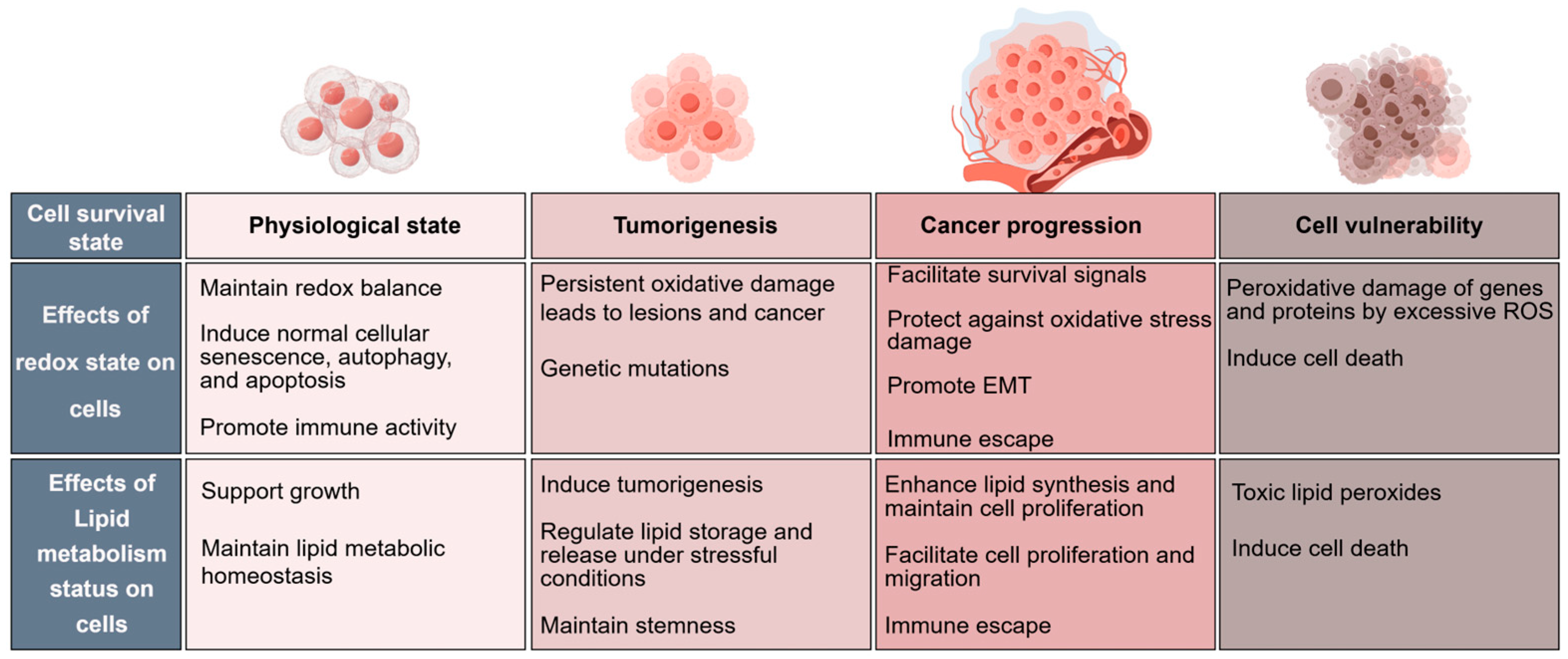 Oxidative Stress and Reprogramming of Lipid Metabolism in
