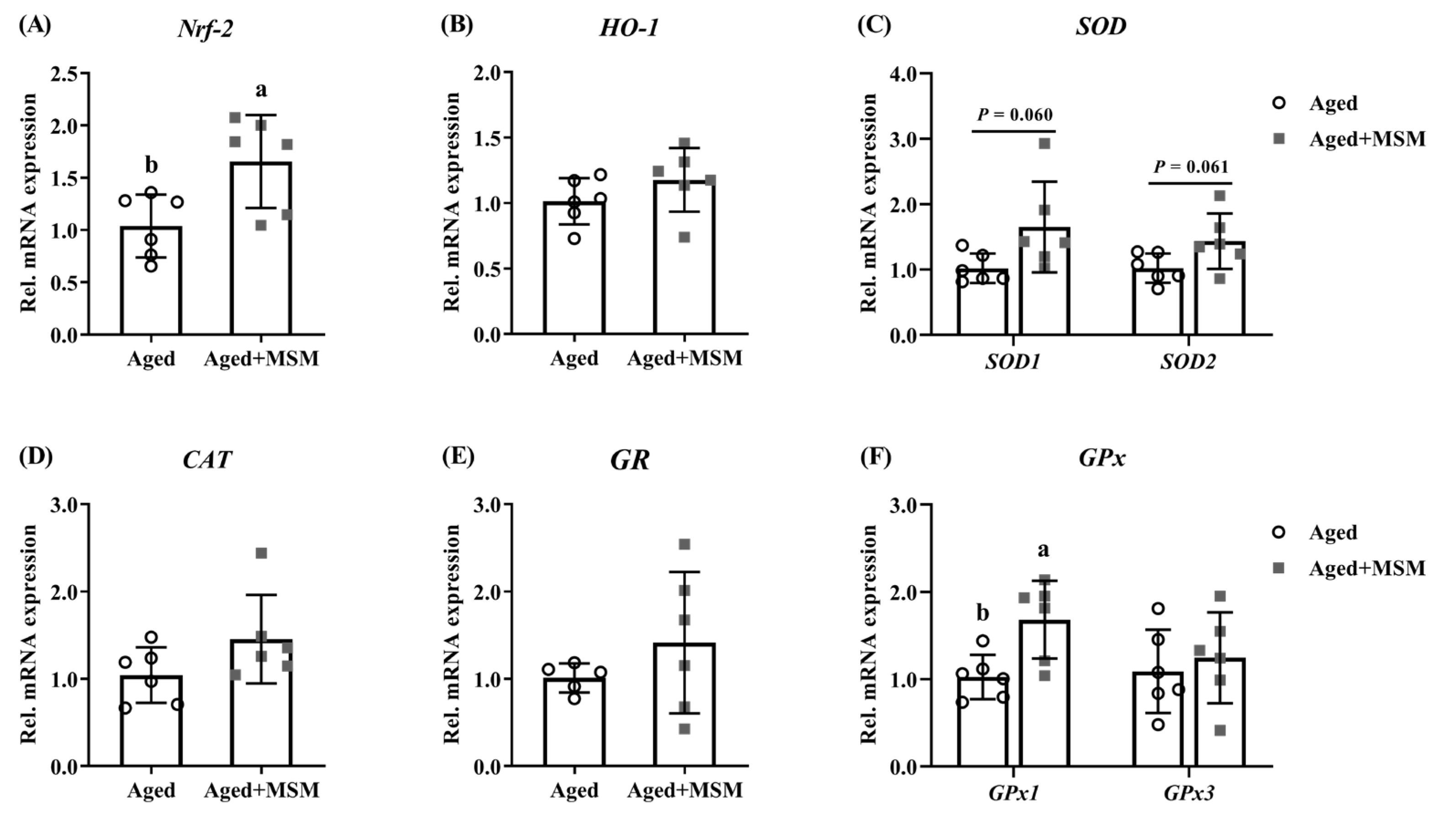 Antioxidants 14 00216 g005 Antioxidants 14 00216 g005