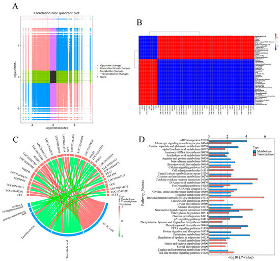 Molecular Response and Metabolic Reprogramming of the Spleen