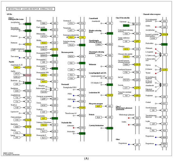 HS  1994 Chevrolet Camaro Z28 Coupe VIN: 2G1FP22P6R2219206 for