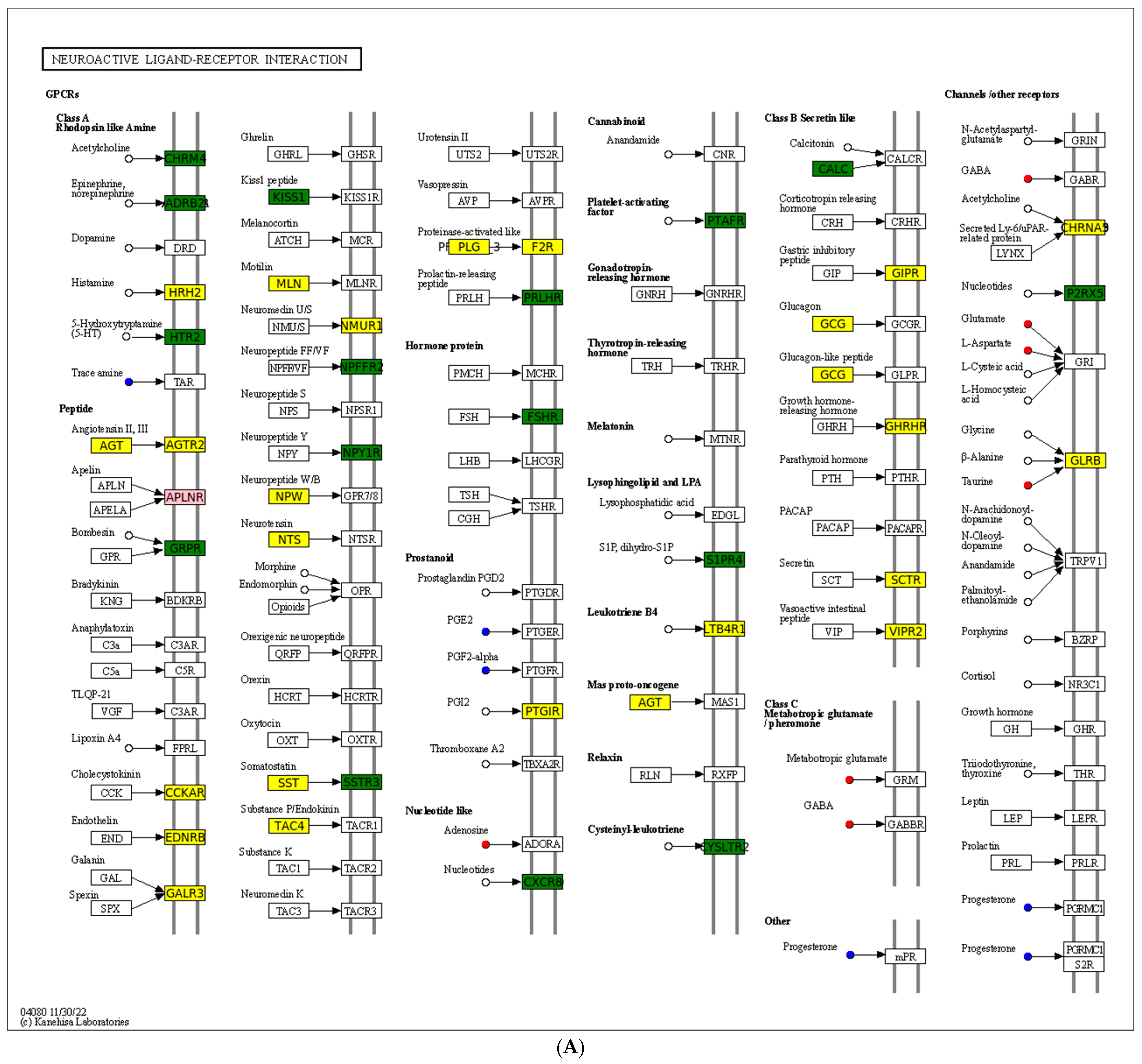 Antioxidants 14 00217 g007a
