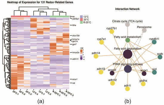 The Effects of Acute Temperature Changes on Transcriptomic The Effects of Acute Temperature Changes on Transcriptomic