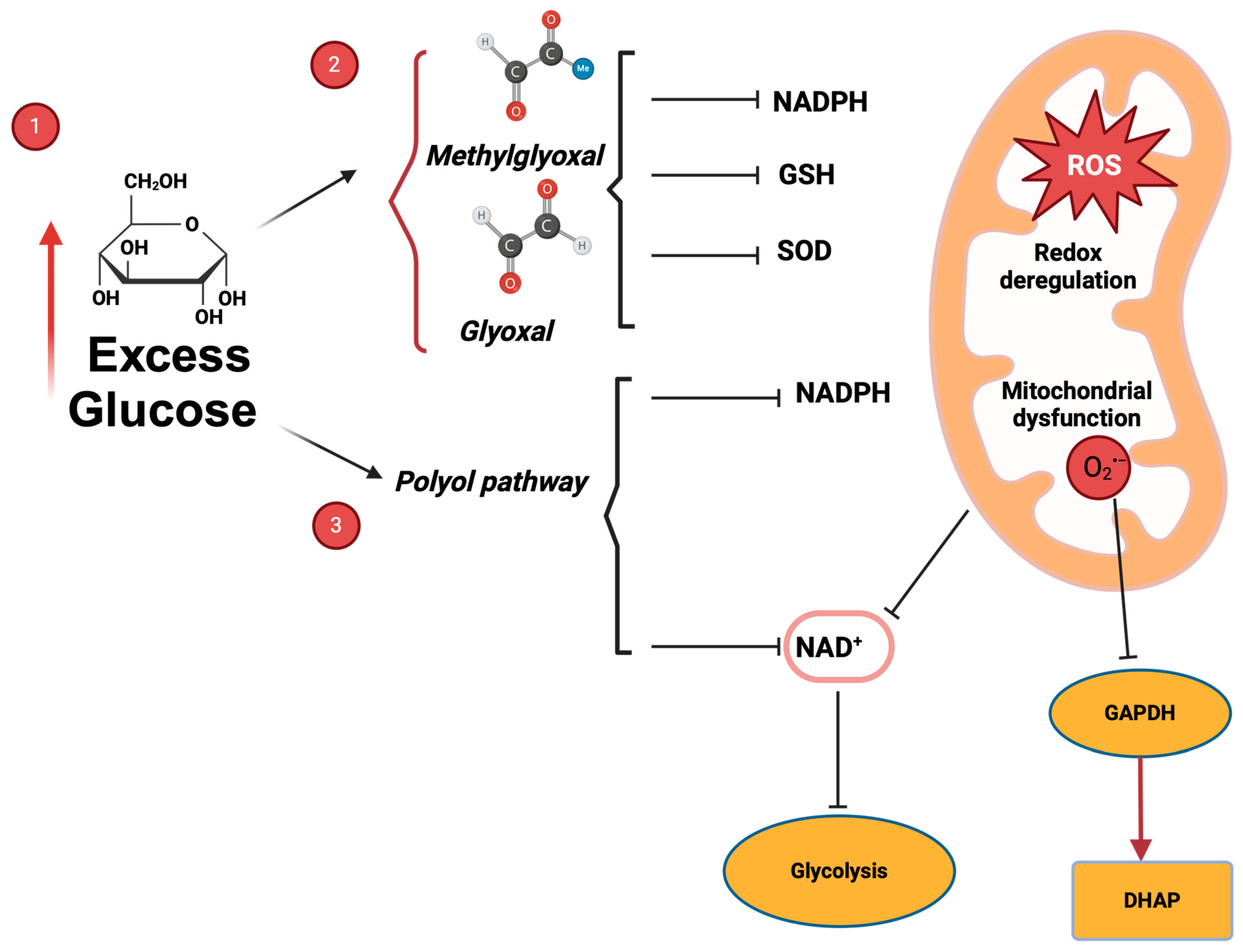 Antioxidants 14 00225 g003